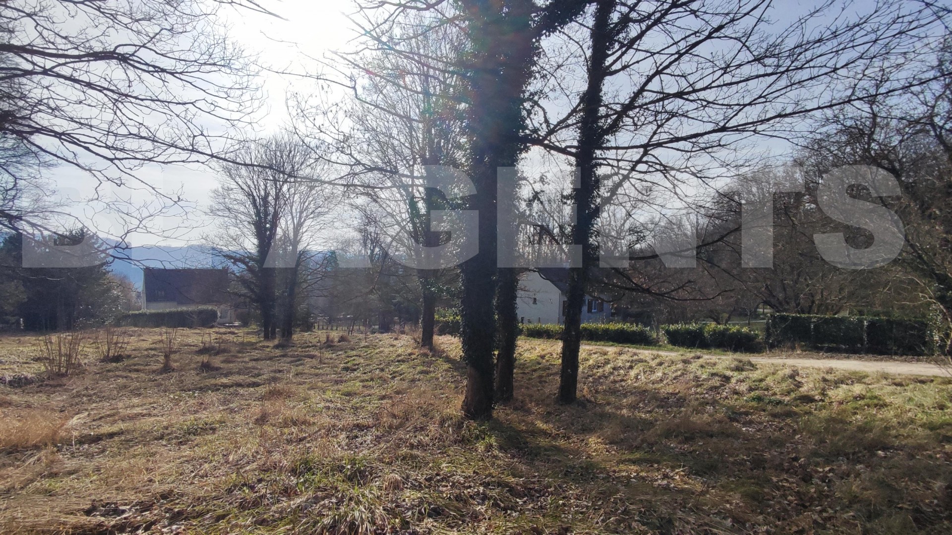 Terrain  VILLENEUVE-SUR-BELLOT - Photo 1