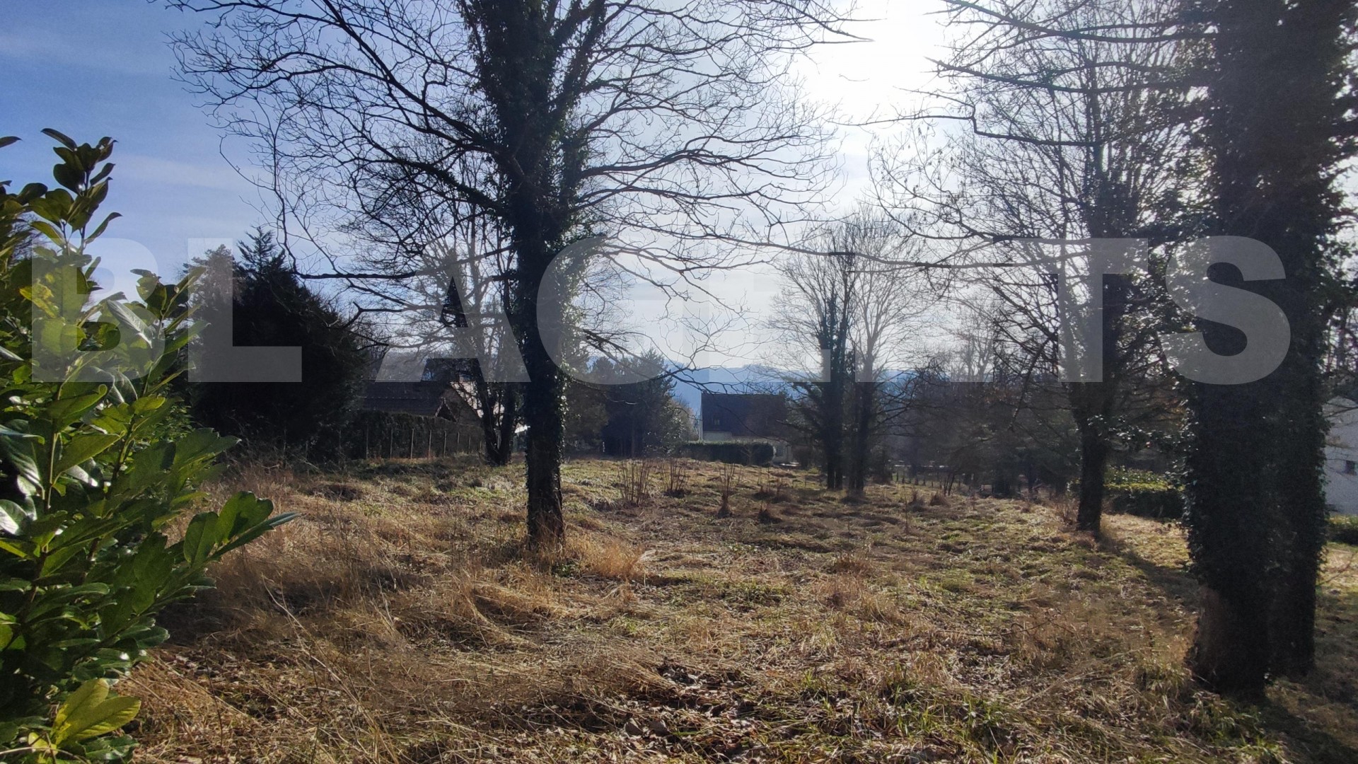 Terrain  VILLENEUVE-SUR-BELLOT - Photo 2