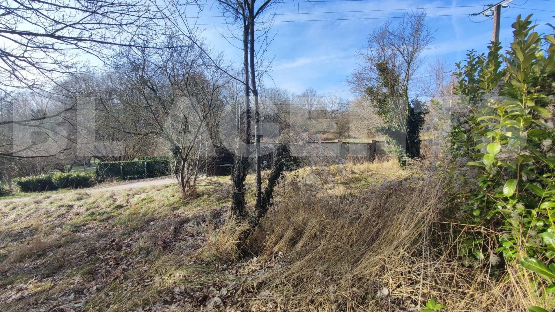 Terrain  VILLENEUVE-SUR-BELLOT - Photo 3