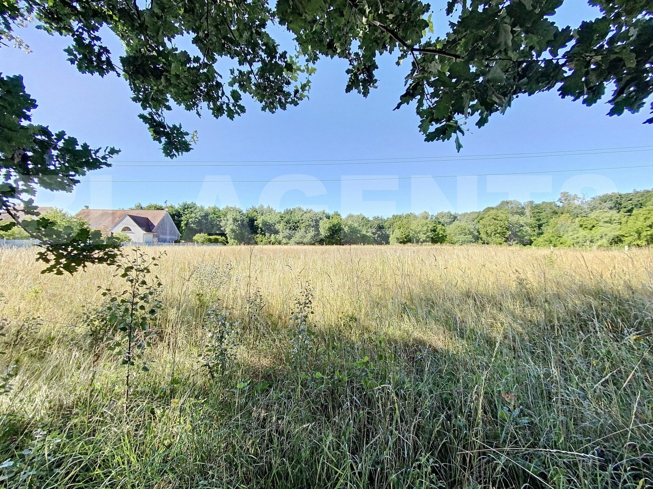 Terrain  SAINT-SAUVEUR-SUR-ECOLE - Photo 1
