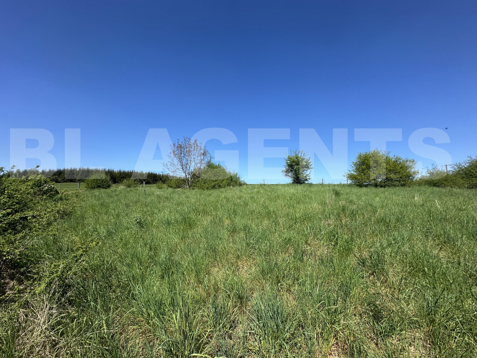 Terrain  MATTON-ET-CLEMENCY - Photo 5