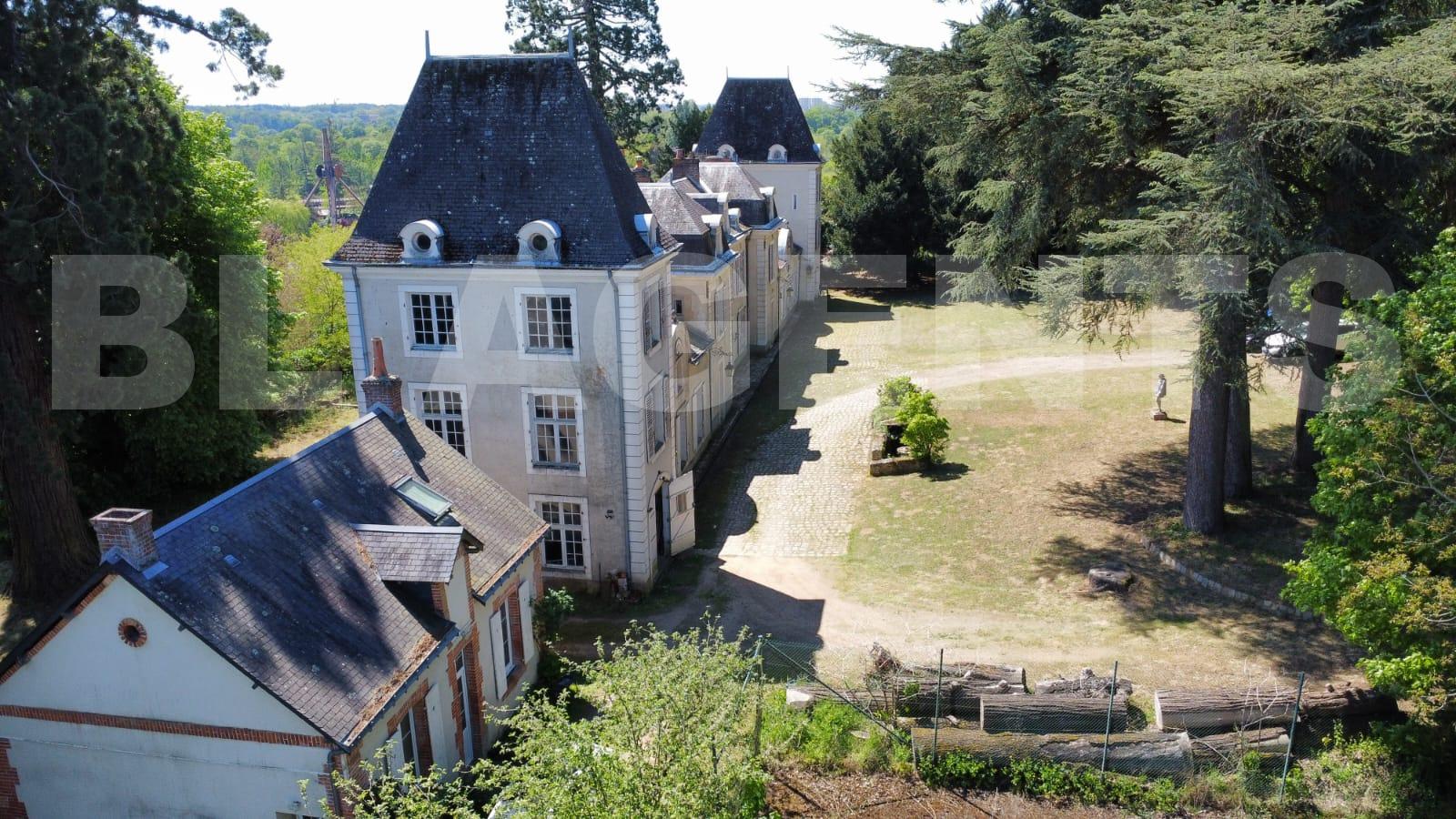 Château 14 Pièce(s) YVRE-L'EVEQUE - Photo 3