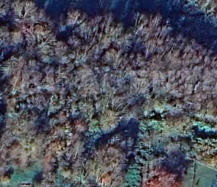 Terrain  VILLENEUVE-LE-COMTE - Photo 1