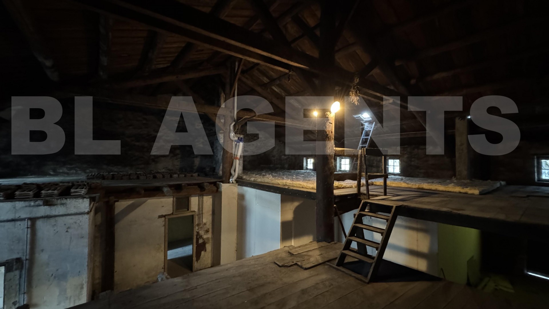 Maison 6 Pièce(s) TREVERAY - Photo 13