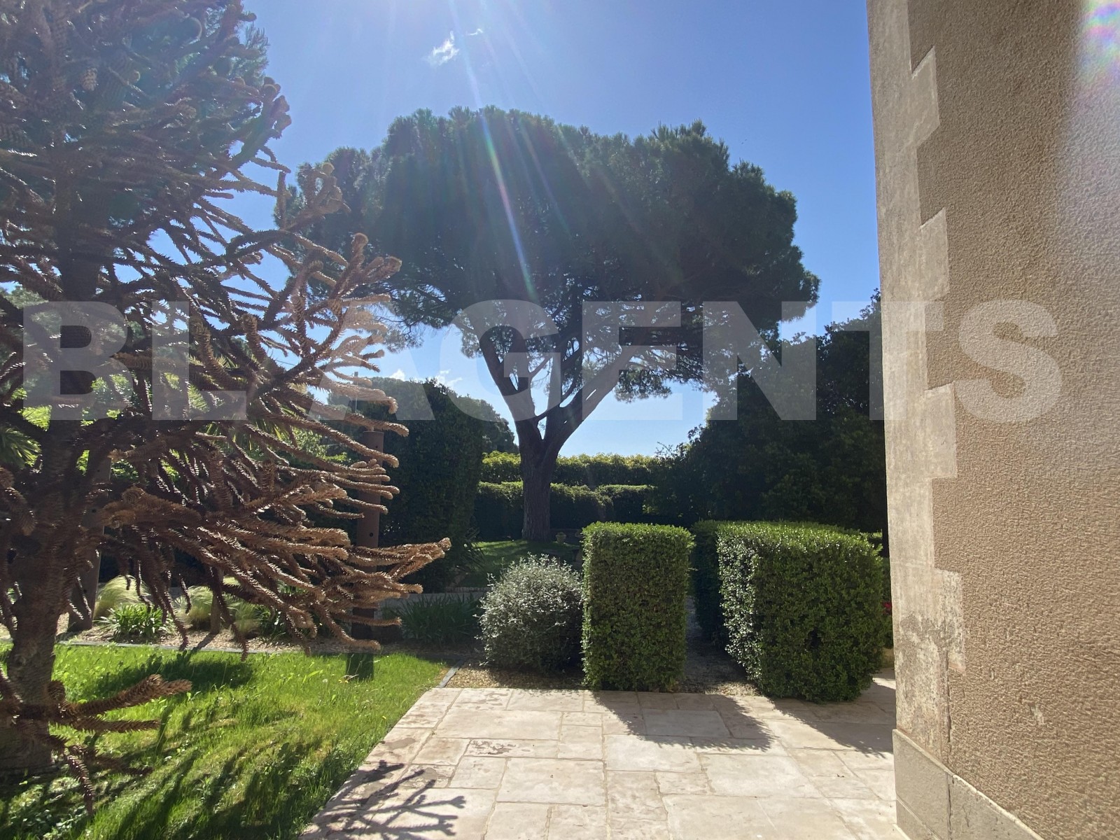 Maison de maître 8 Pièce(s) ARGELIERS - Photo 6