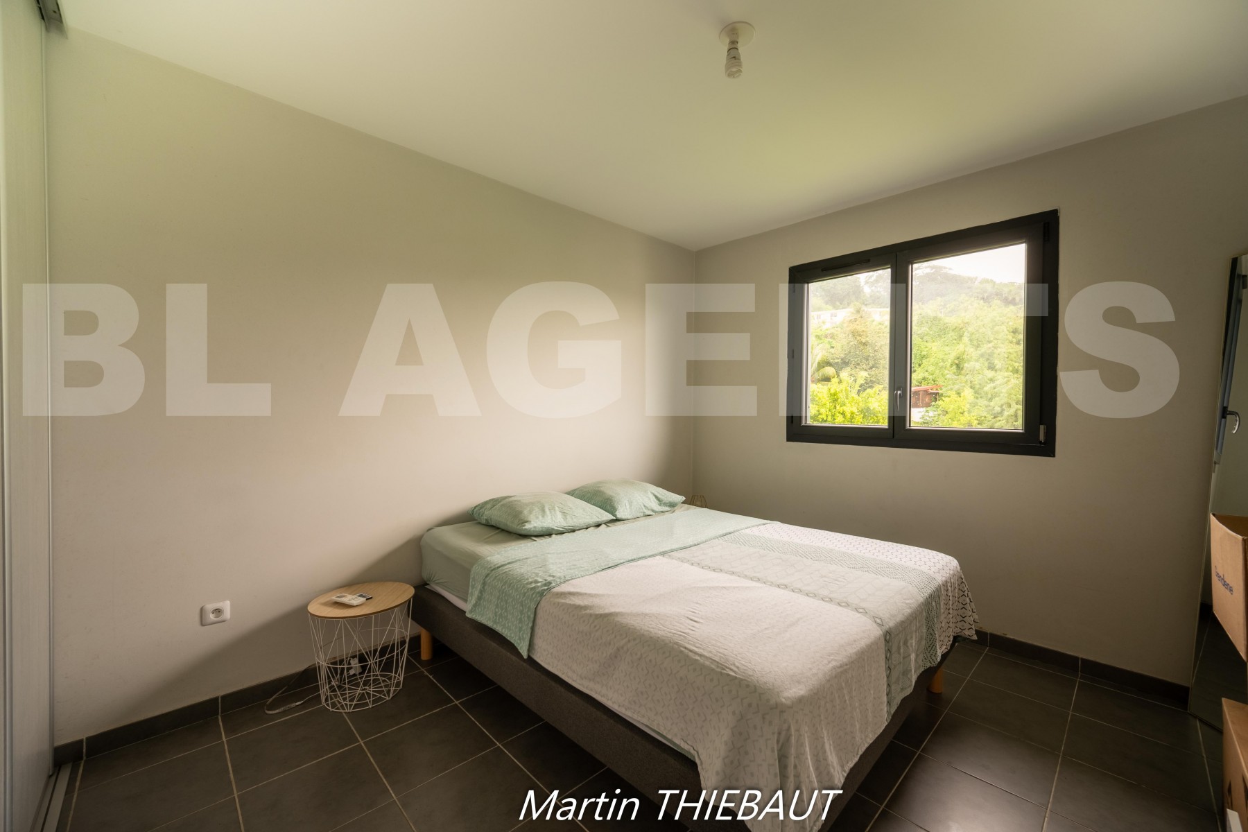 Appartement 3 Pièce(s) FORT-DE-FRANCE - Photo 3