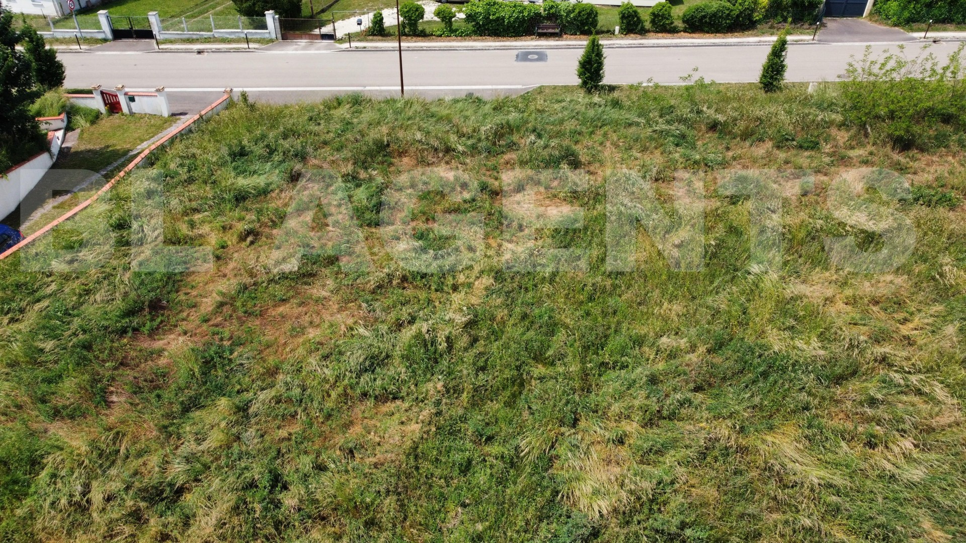Terrain  SERGINES - Photo 4