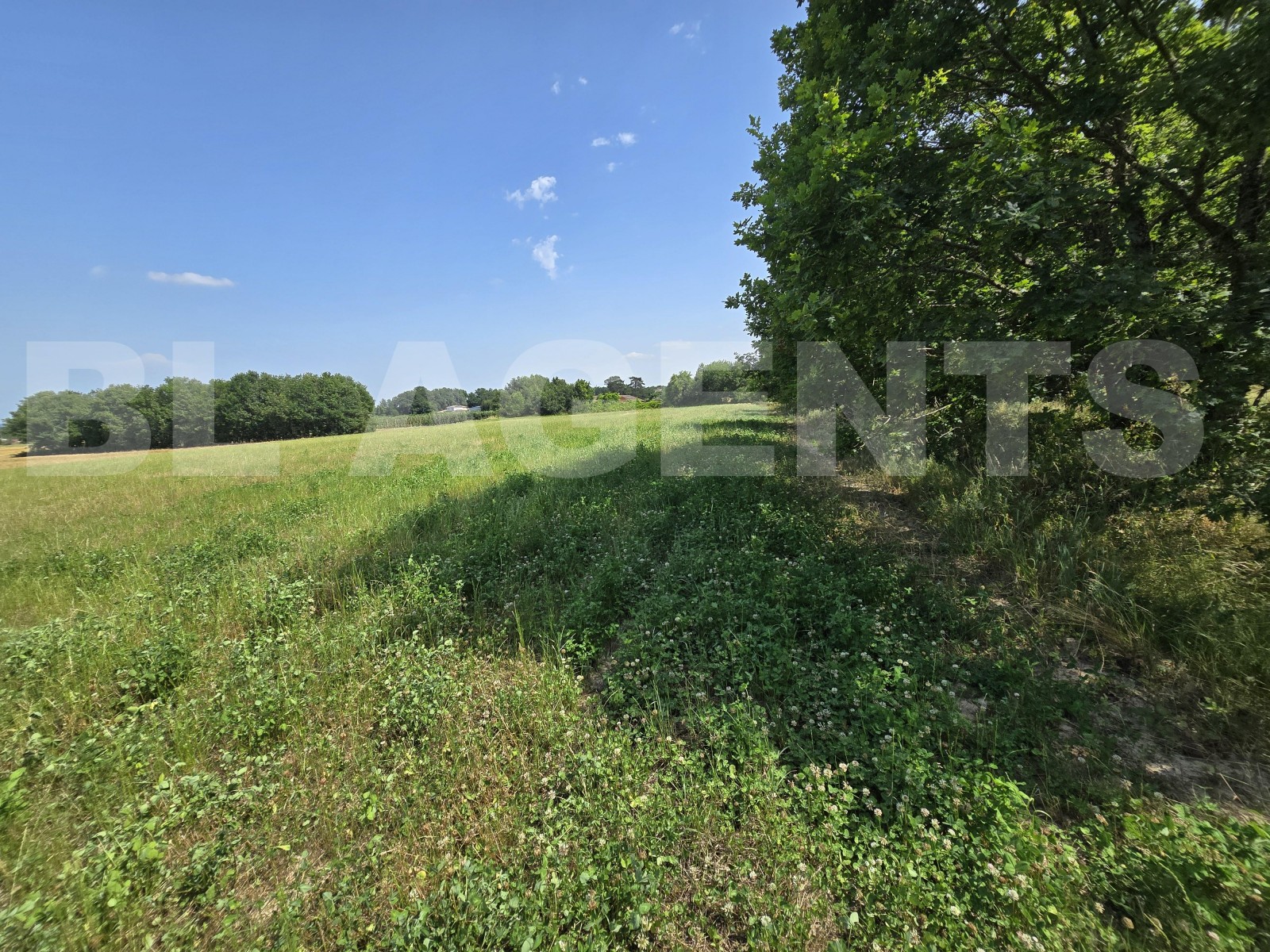 Terrain  VACQUIERS - Photo 1