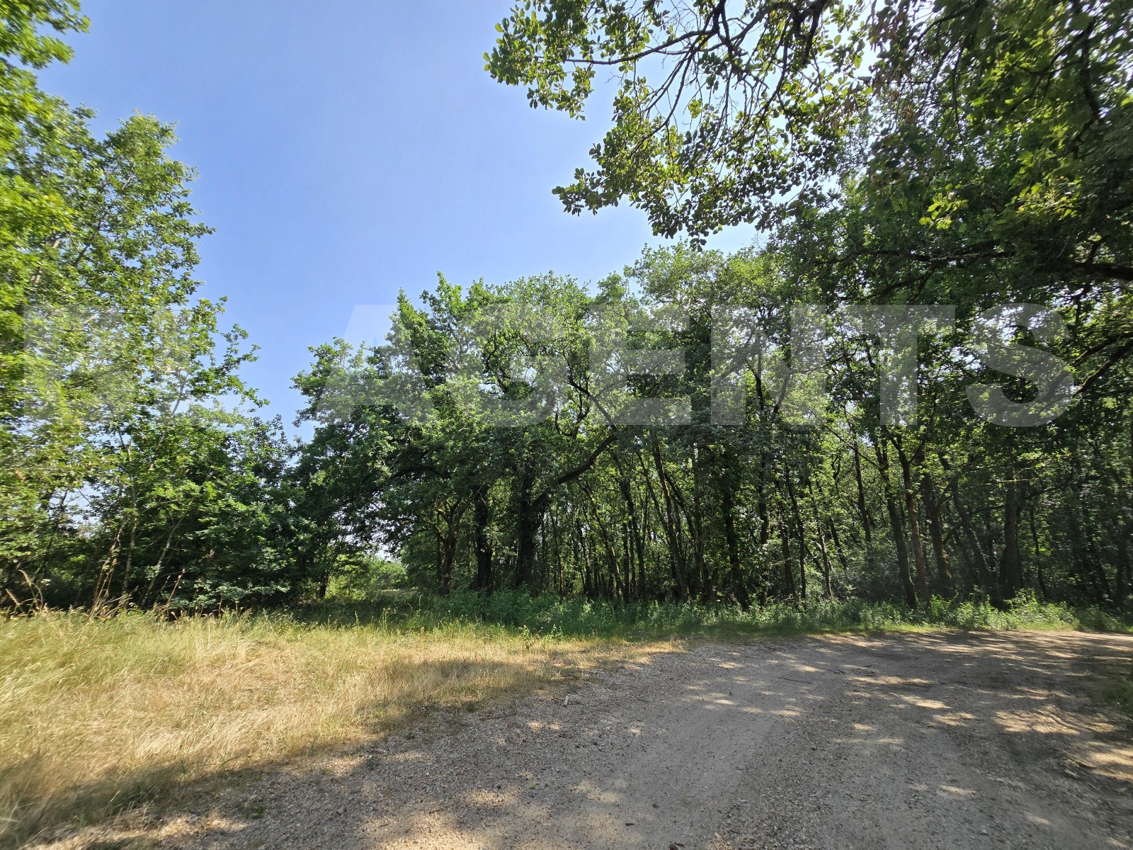 Terrain  VACQUIERS - Photo 2