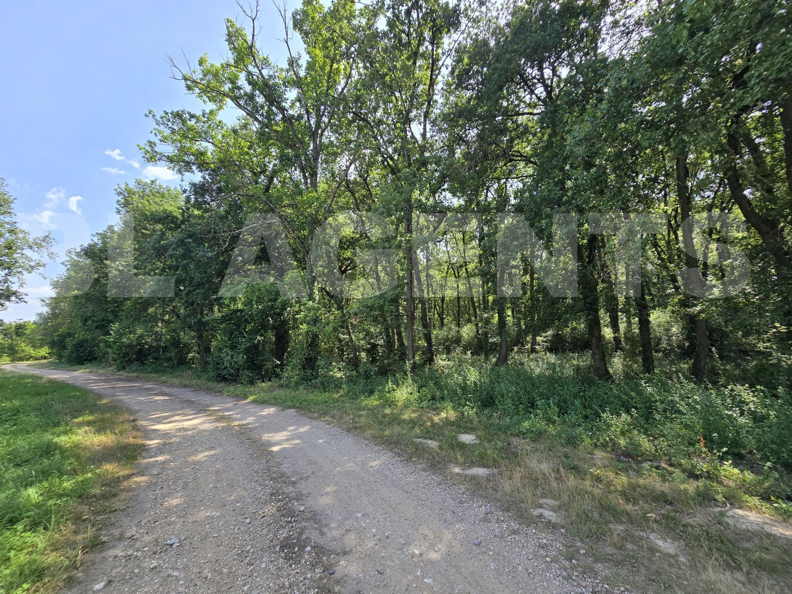 Terrain  VACQUIERS - Photo 4