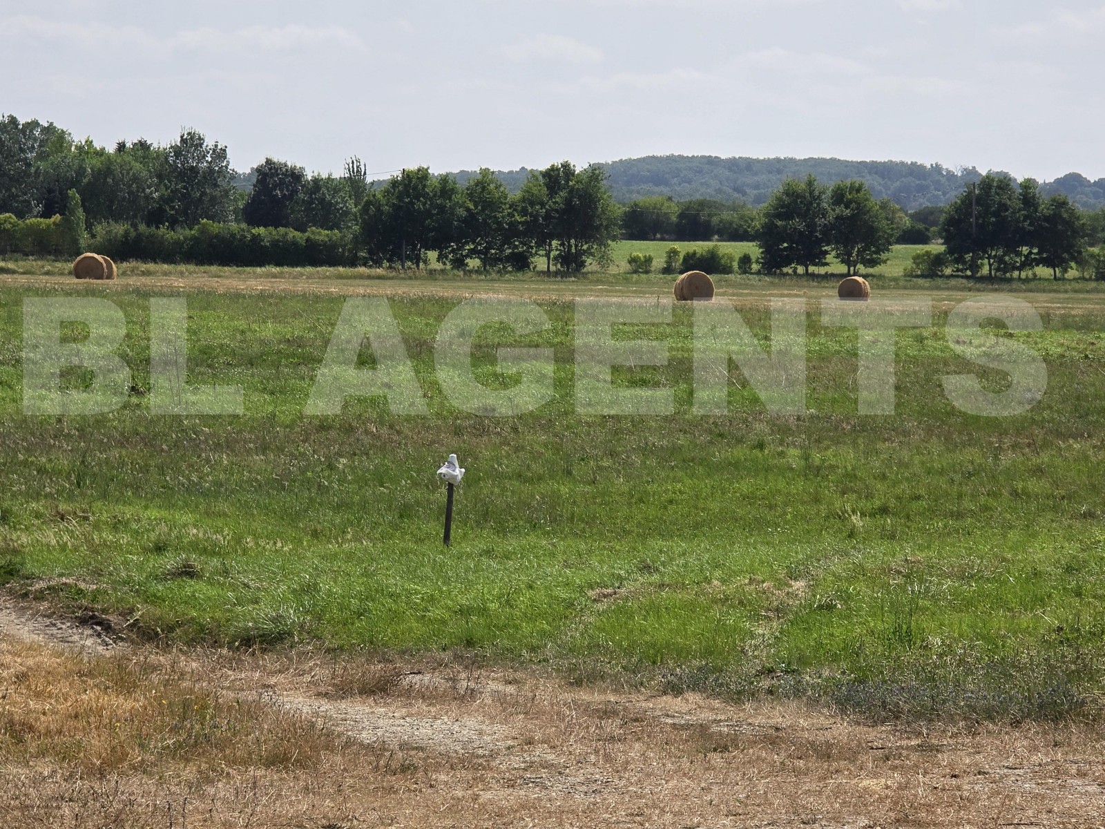 Terrain  VACQUIERS - Photo 2