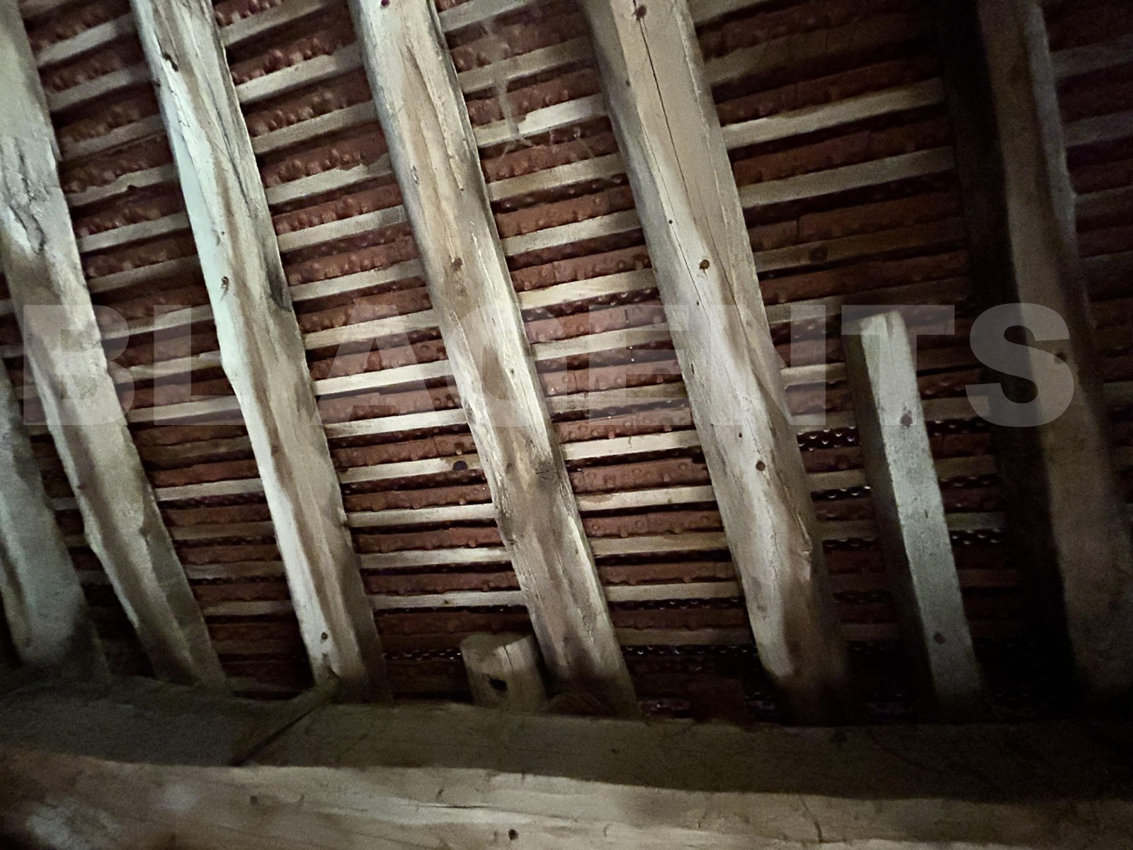 Grange 1 Pièce(s) APPOIGNY - Photo 6