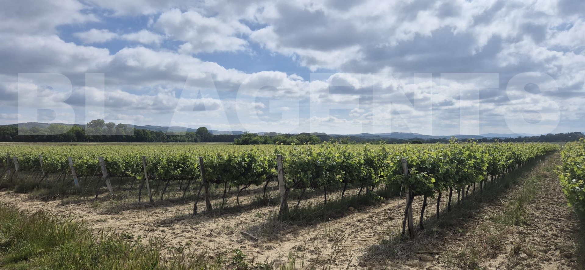 Terrain  CAMBIEURE - Photo 1
