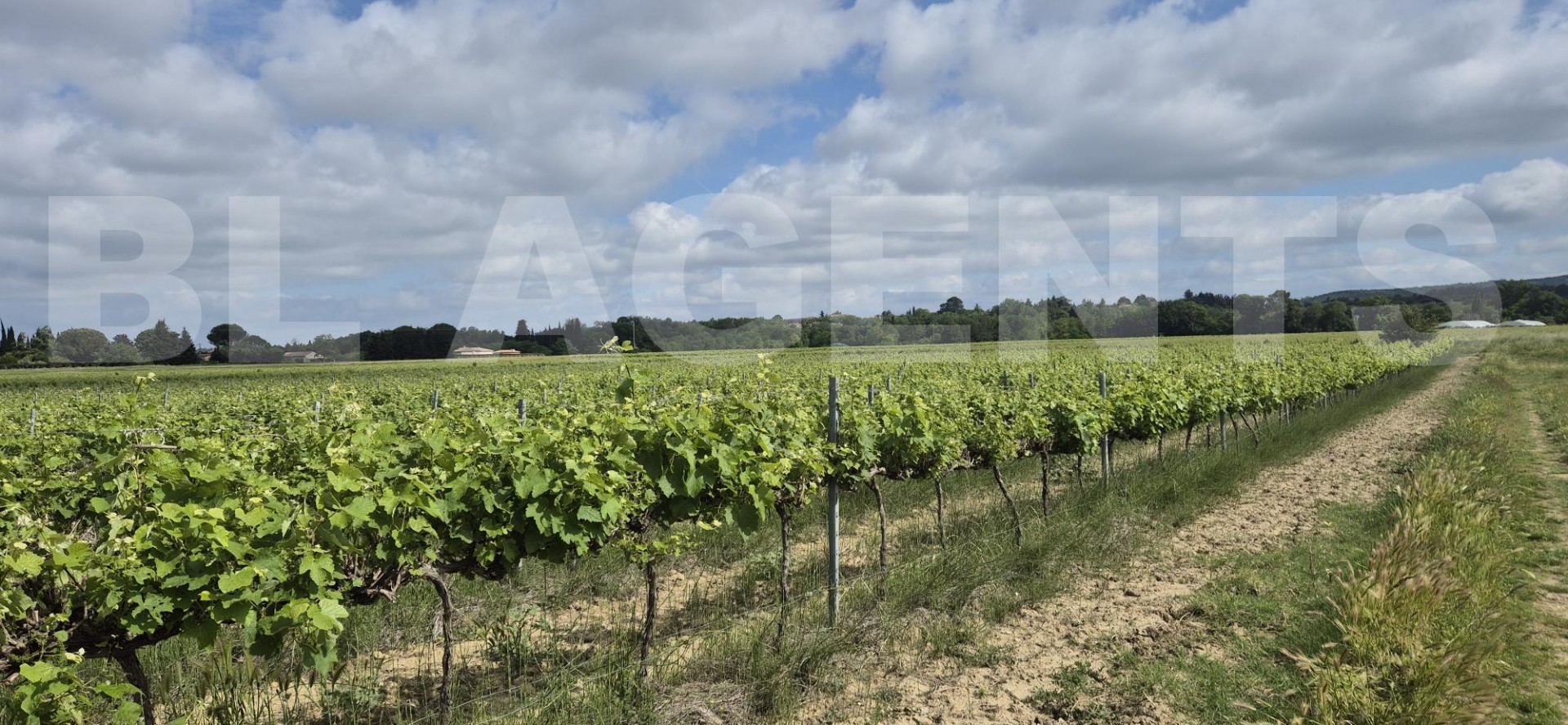 Terrain  CAMBIEURE - Photo 2