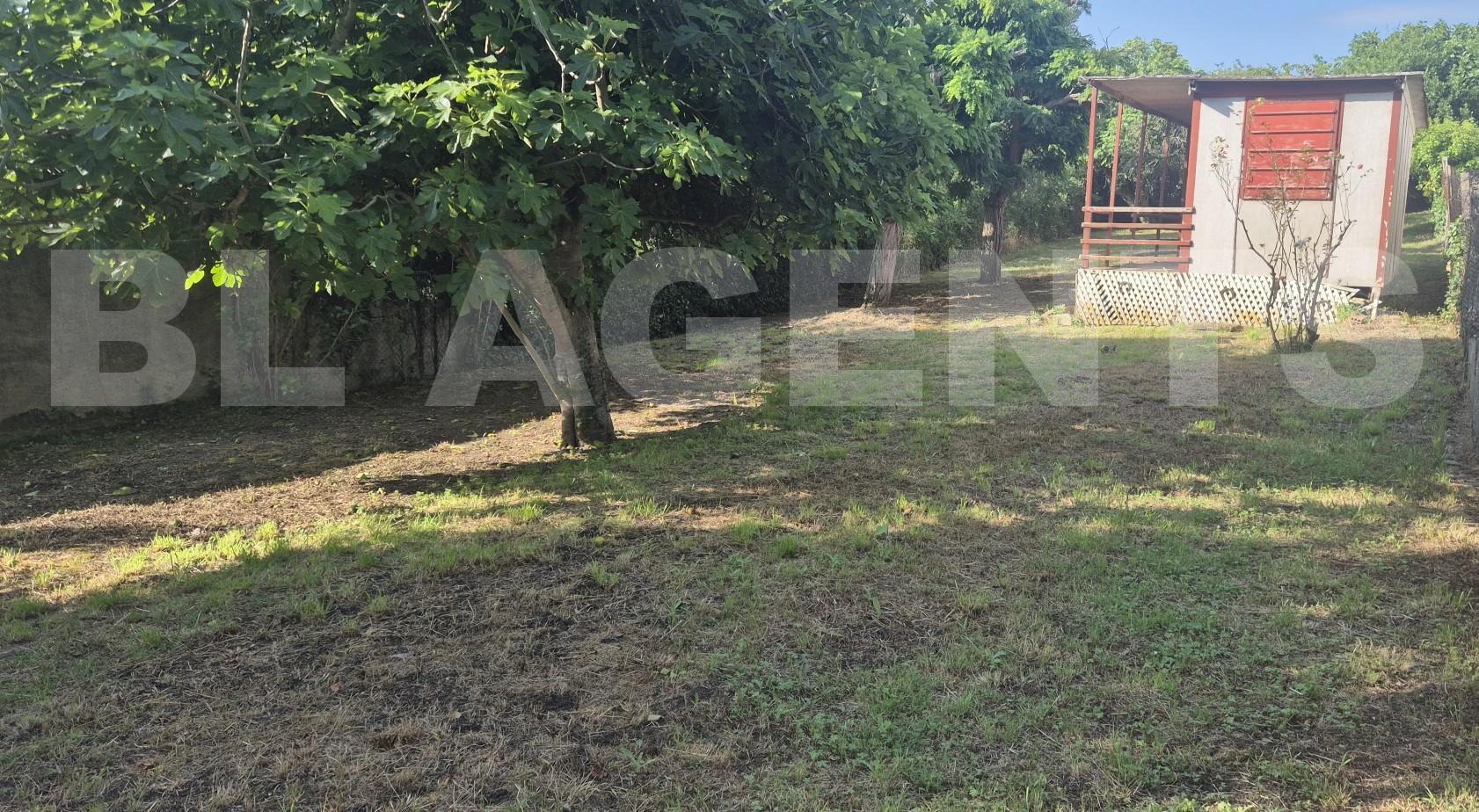 Terrain  ALAIGNE - Photo 3