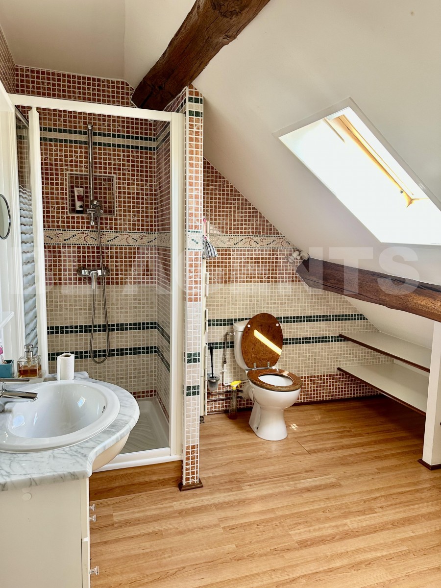 Maison 7 Pièce(s) VILLIERS-SUR-MORIN - Photo 11