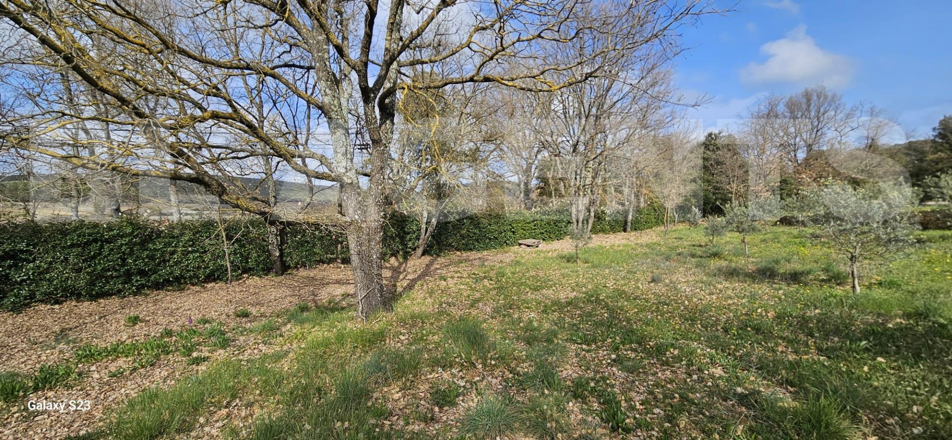 Terrain  SAINT-MAXIMIN-LA-SAINTE-BAUME - Photo 3