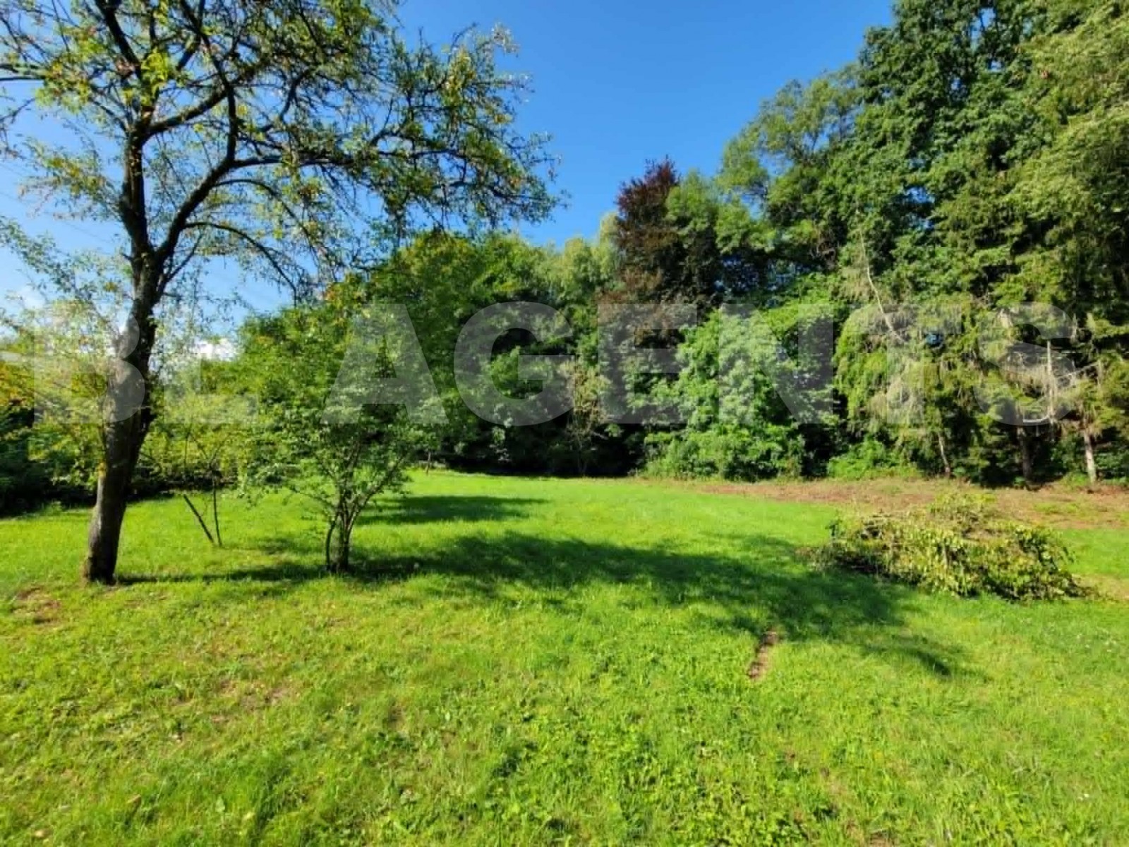 Maison 6 Pièce(s) VRIGNE-AUX-BOIS - Photo 6