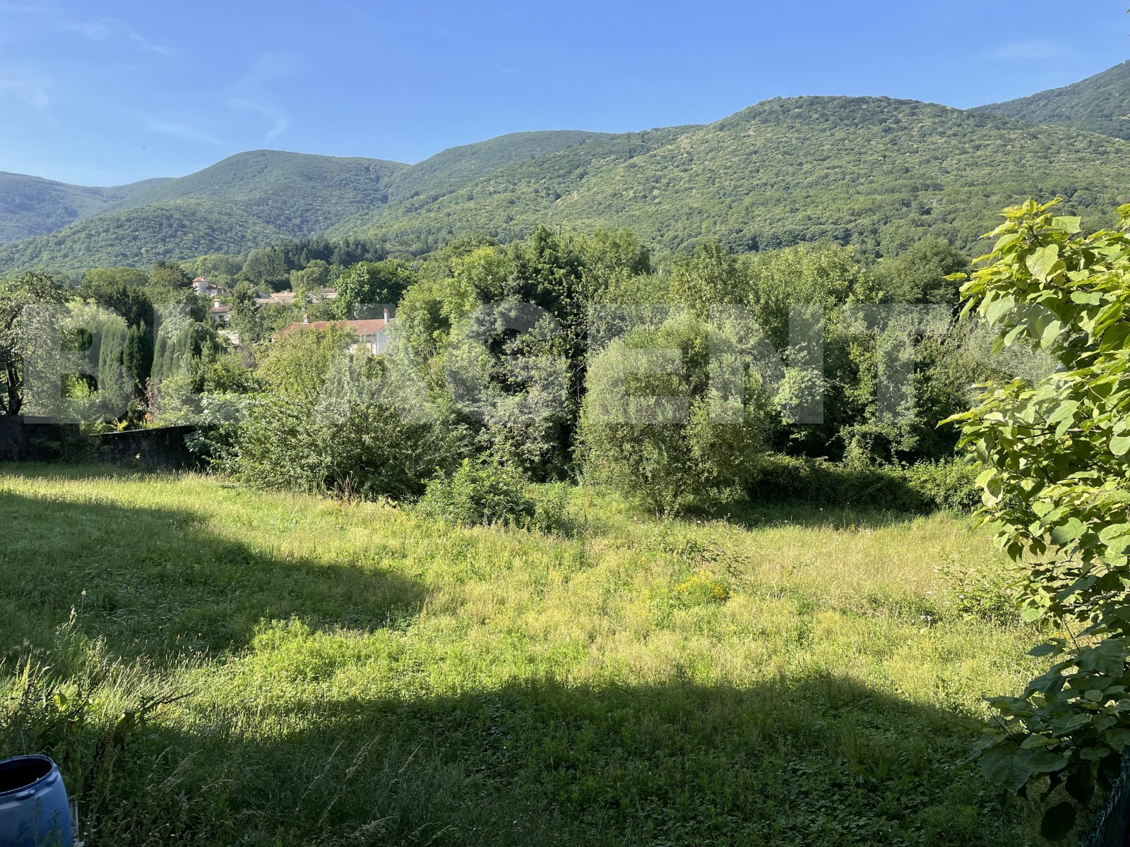 Terrain  SAINT-AMANS-SOULT - Photo 1