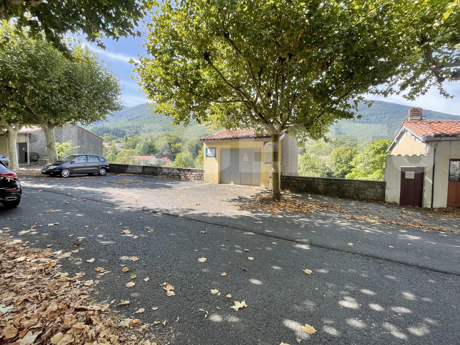 Terrain  SAINT-AMANS-SOULT - Photo 3