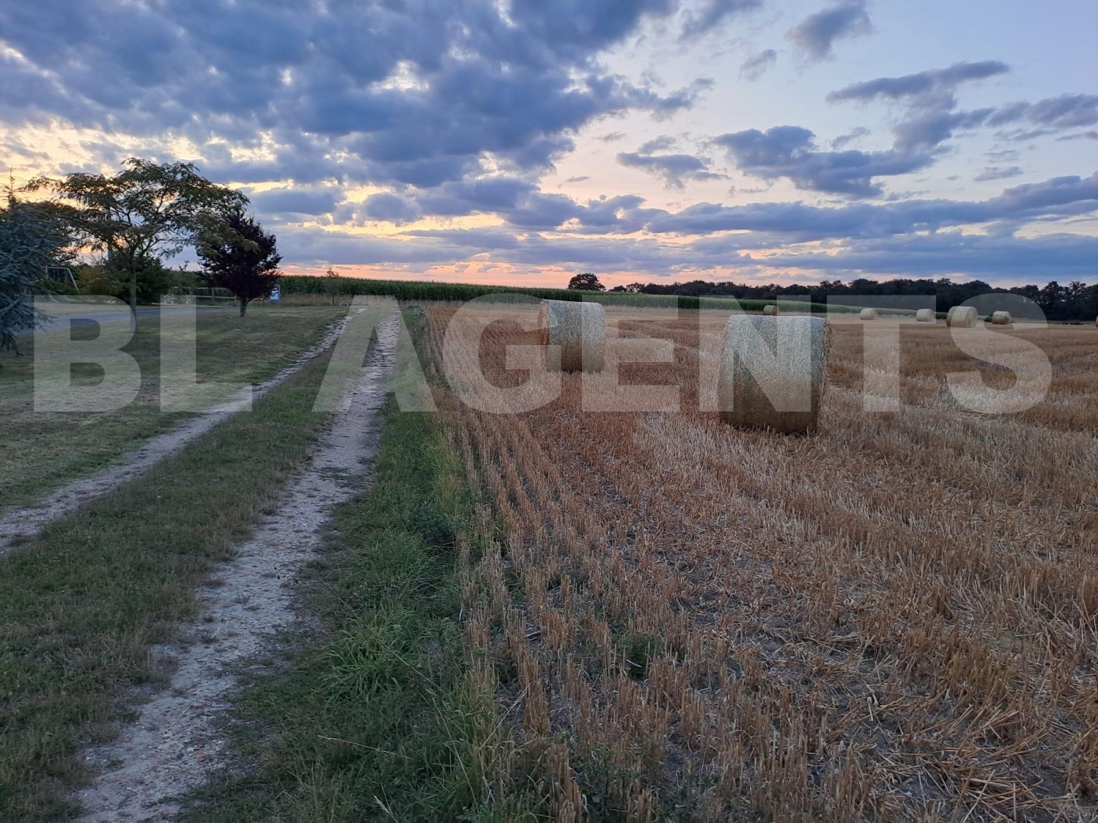 Domaine 14 Pièce(s) NOYANT - Photo 28