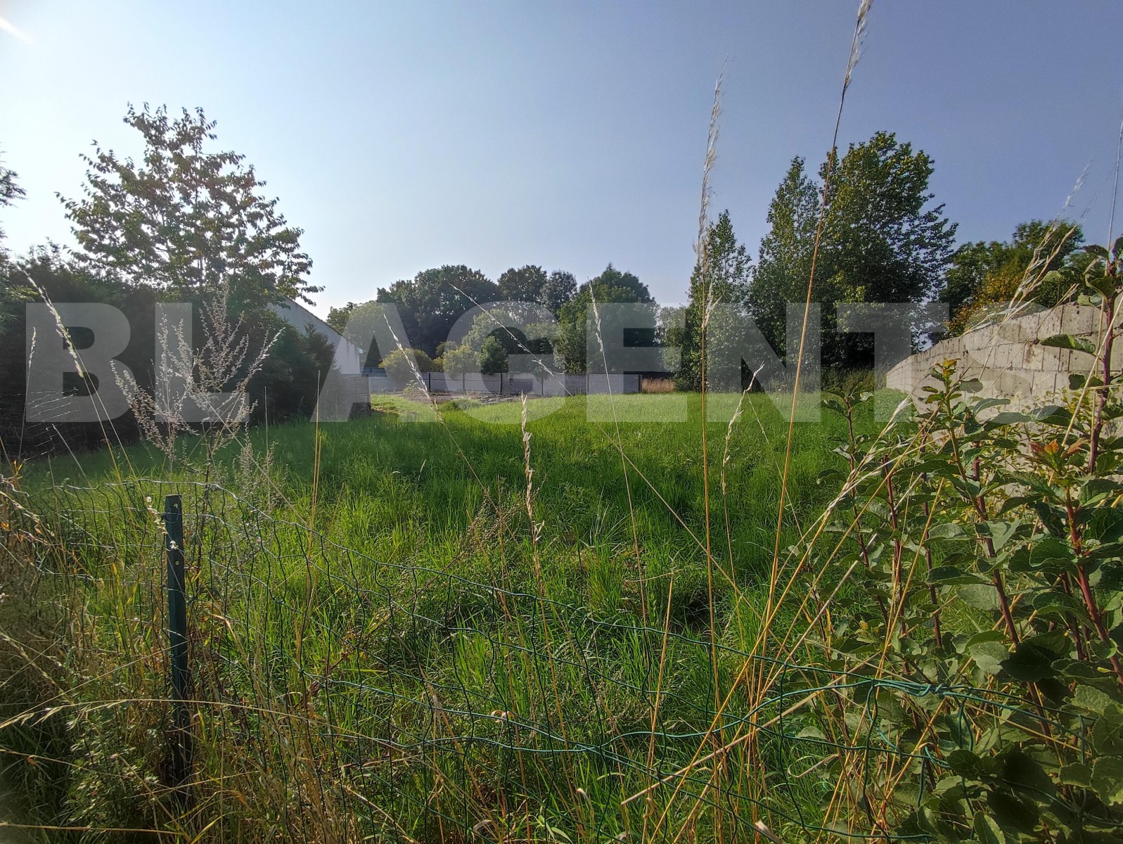 Terrain  MONTMIRAIL - Photo 1