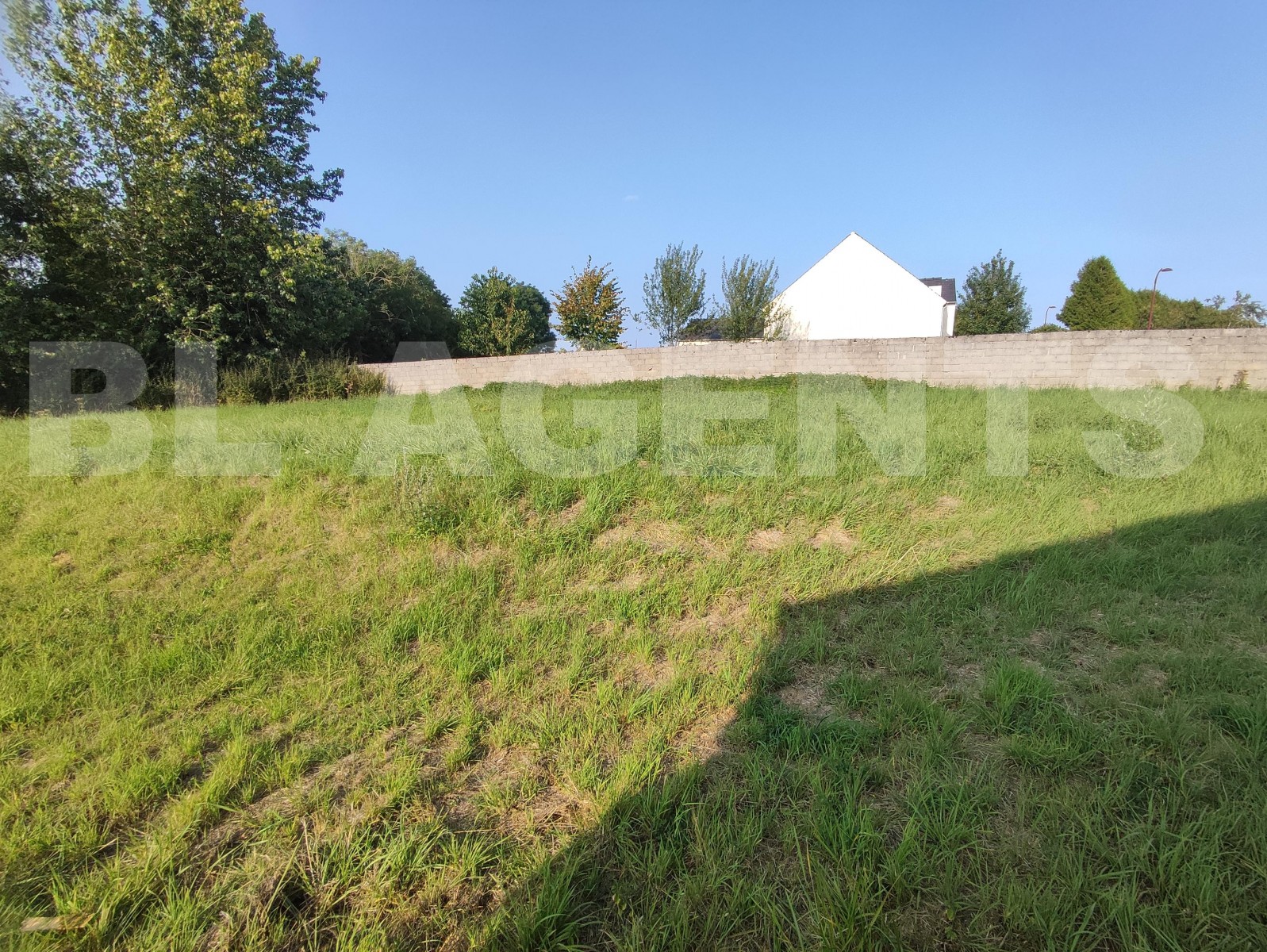 Terrain  MONTMIRAIL - Photo 3