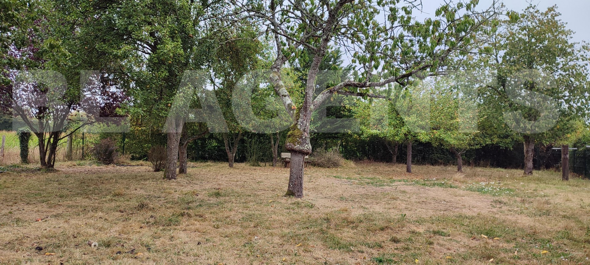 Maison 5 Pièce(s) AUNOU-LE-FAUCON - Photo 11