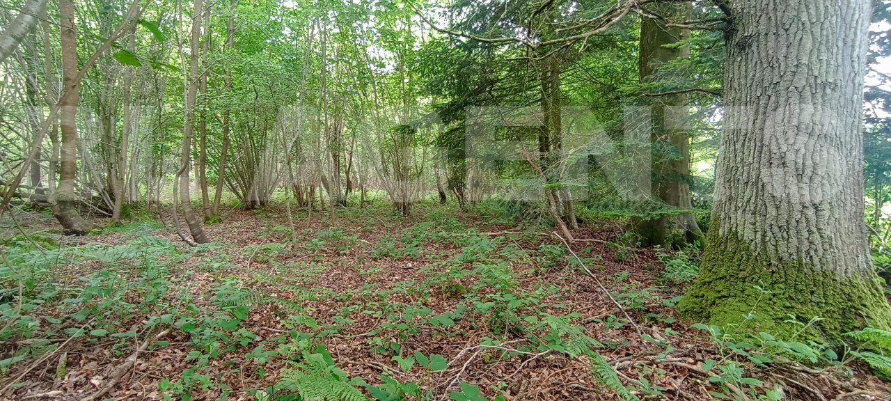 Terrain  SAINT-MARTIN-DE-BIENFAITE-LA-CRESSONNIERE - Photo 5