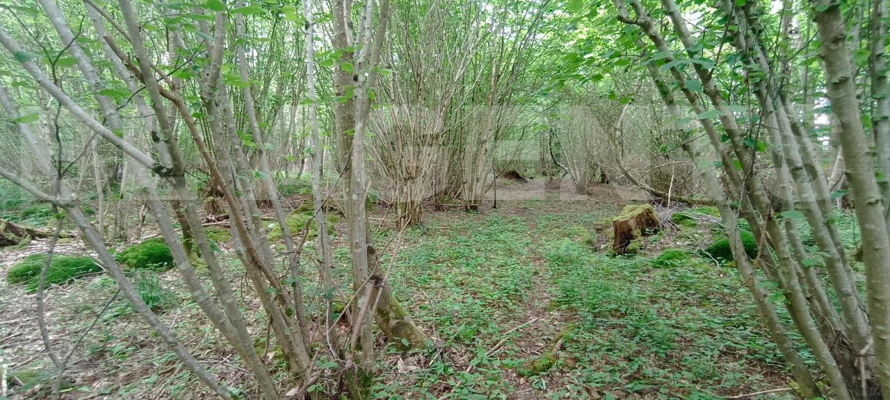 Terrain  SAINT-MARTIN-DE-BIENFAITE-LA-CRESSONNIERE - Photo 6