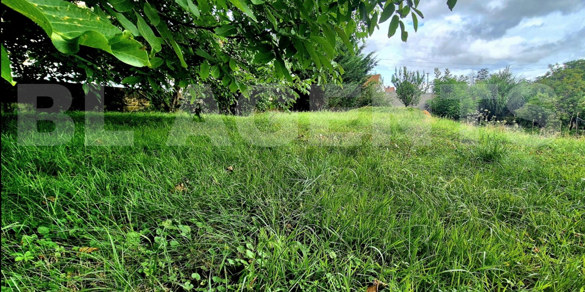 Terrain  WASSELONNE - Photo 1