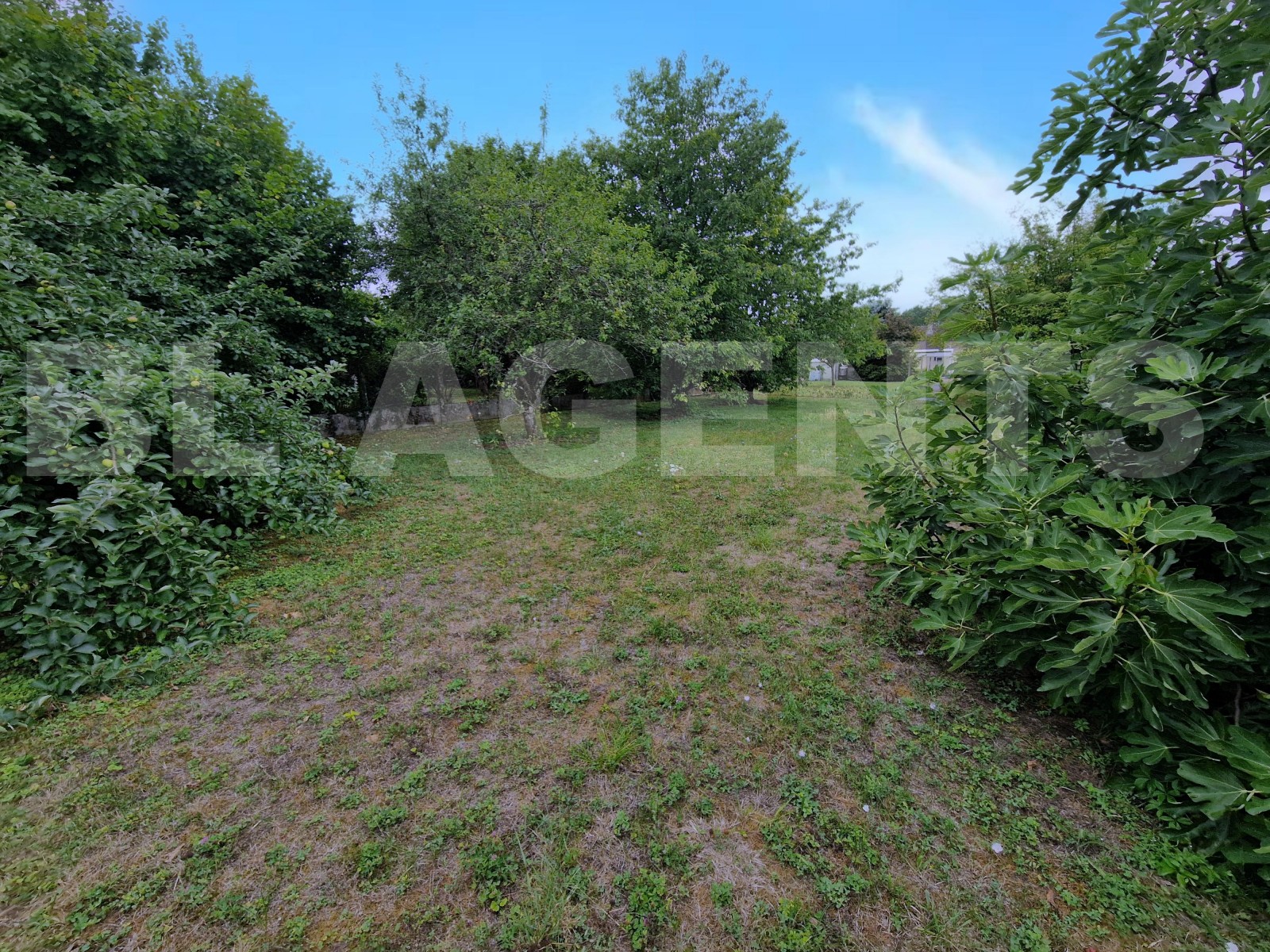 Terrain  MOUSSEAUX-LES-BRAY - Photo 2