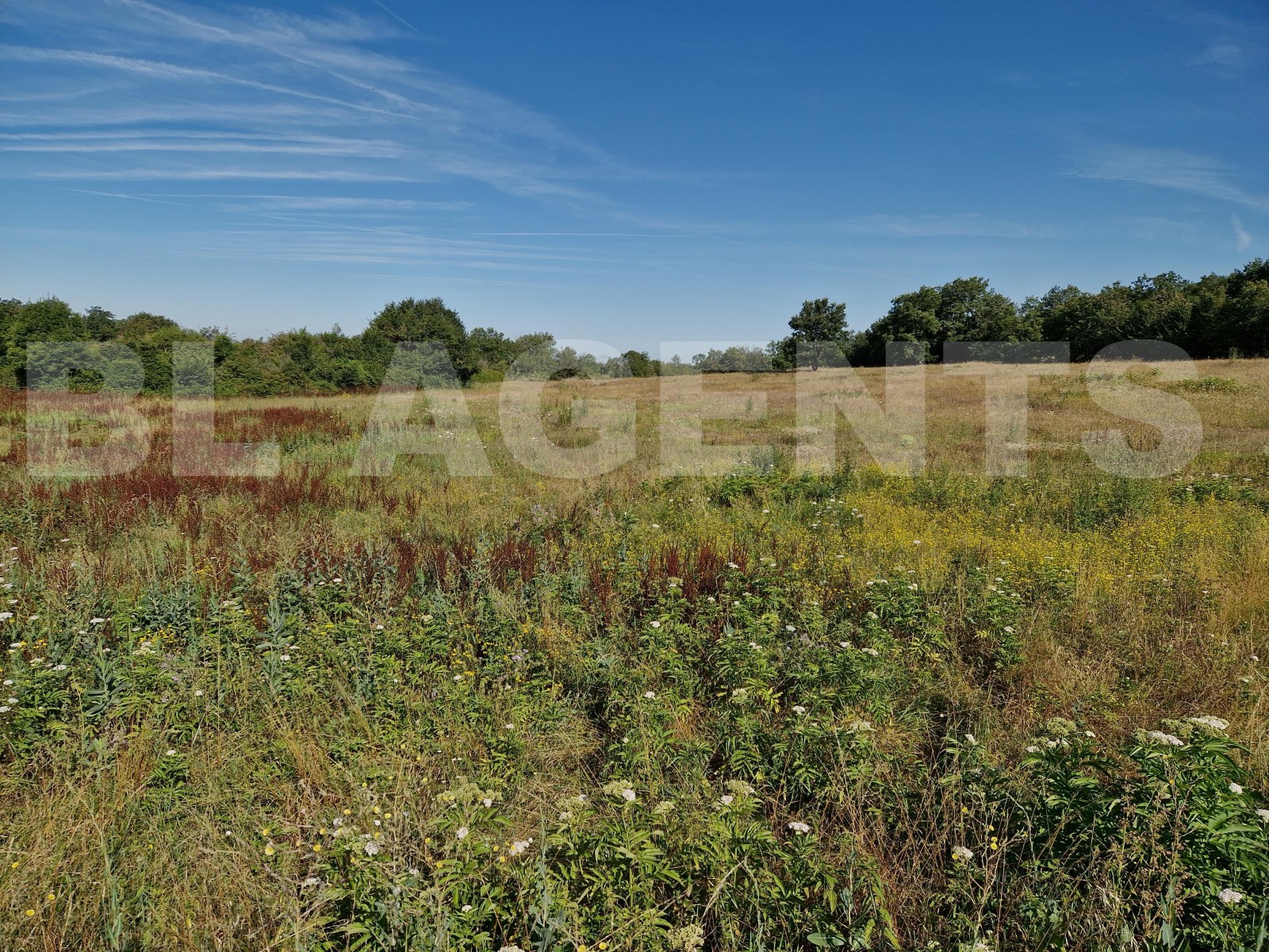 Terrain  SERIGNAC - Photo 1