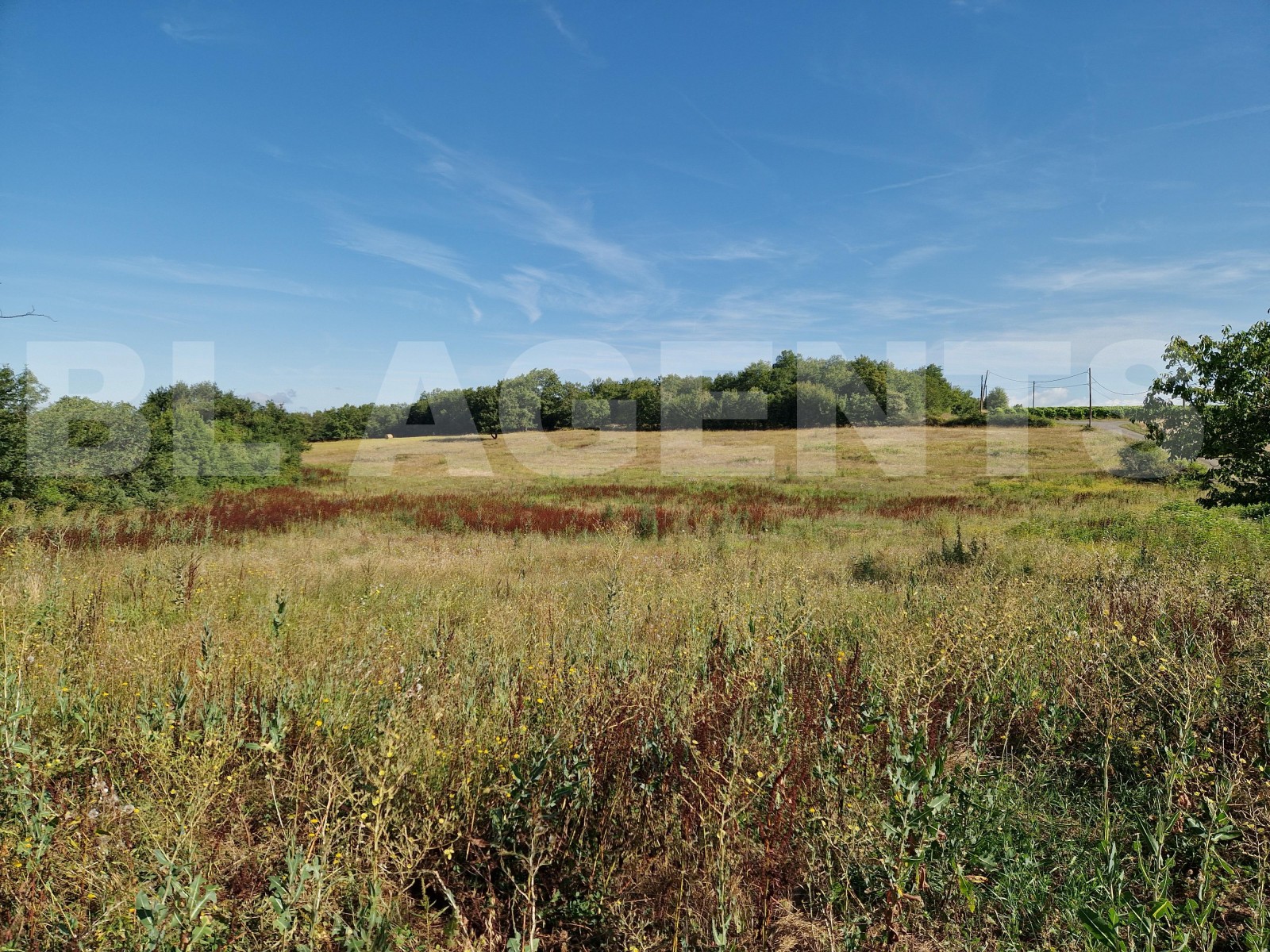 Terrain  SERIGNAC - Photo 2