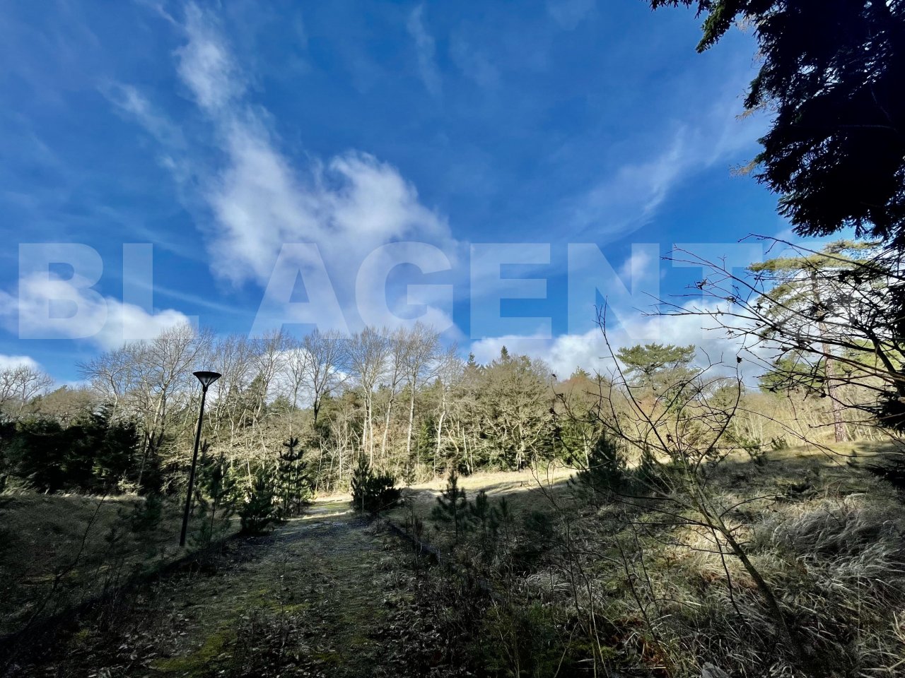 Terrain  NEUFCHATEL-HARDELOT - Photo 1