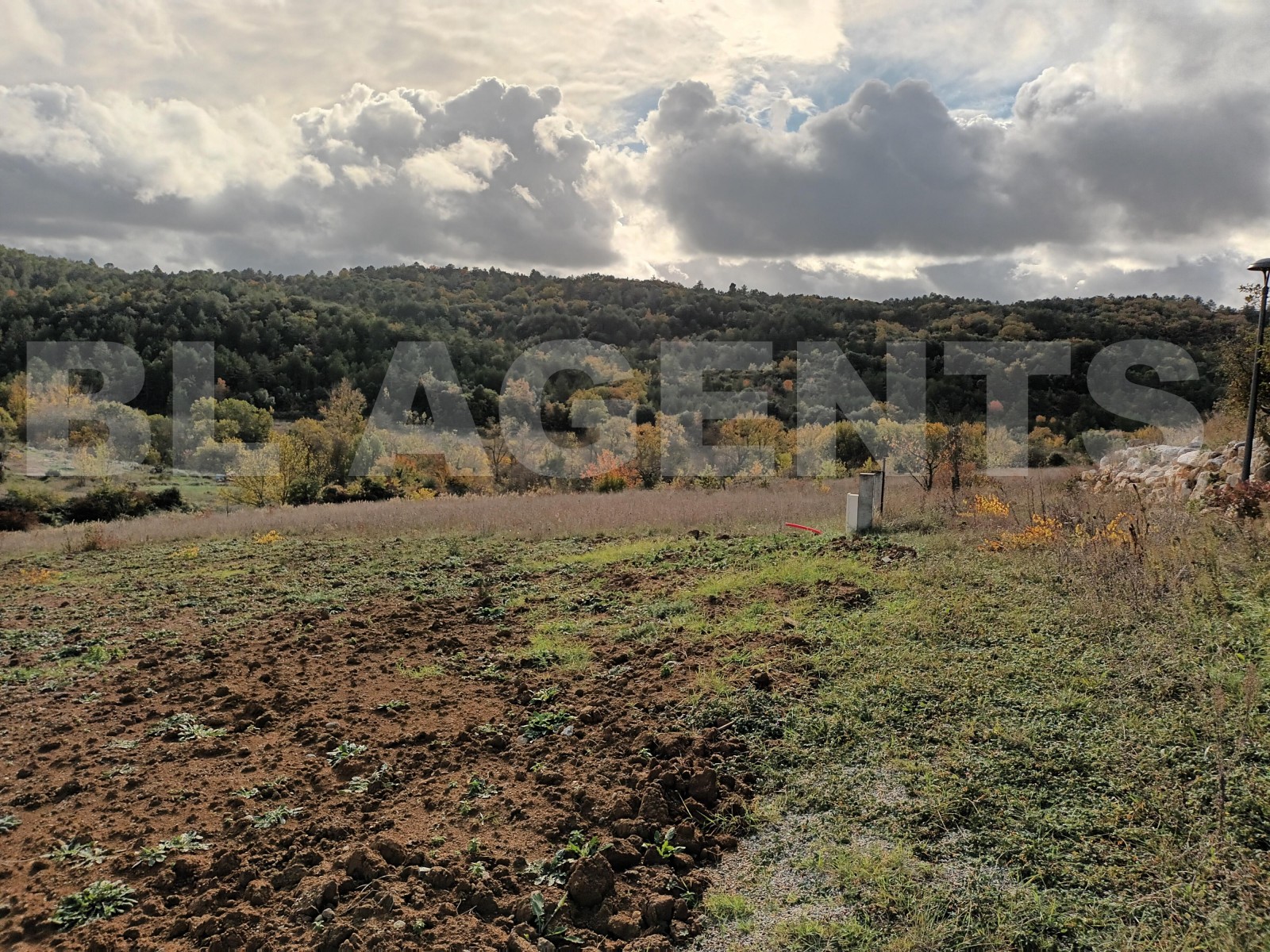 Terrain  VILLEFLOURE - Photo 3