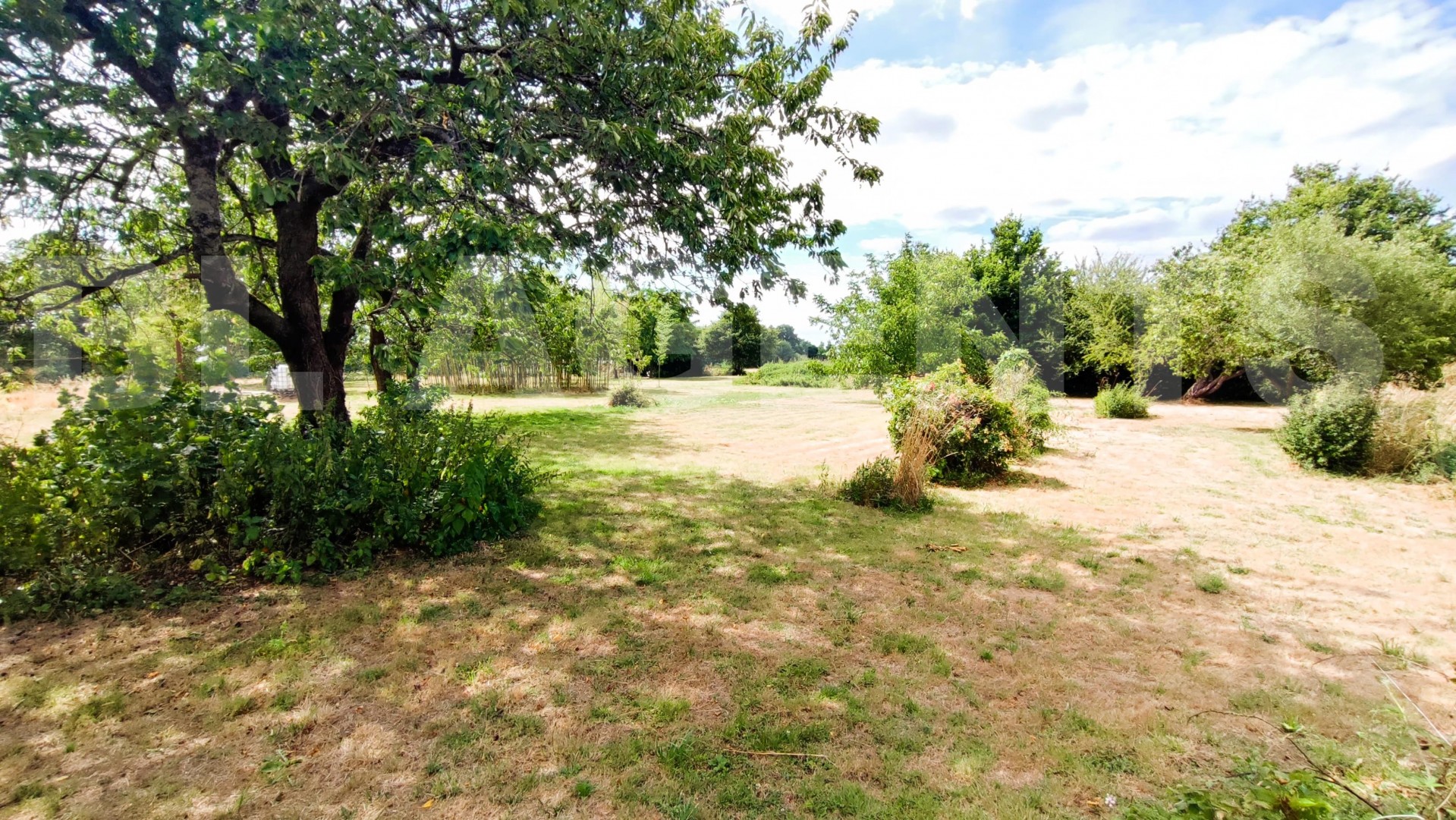 Maison longère 8 Pièce(s) BRULON - Photo 23