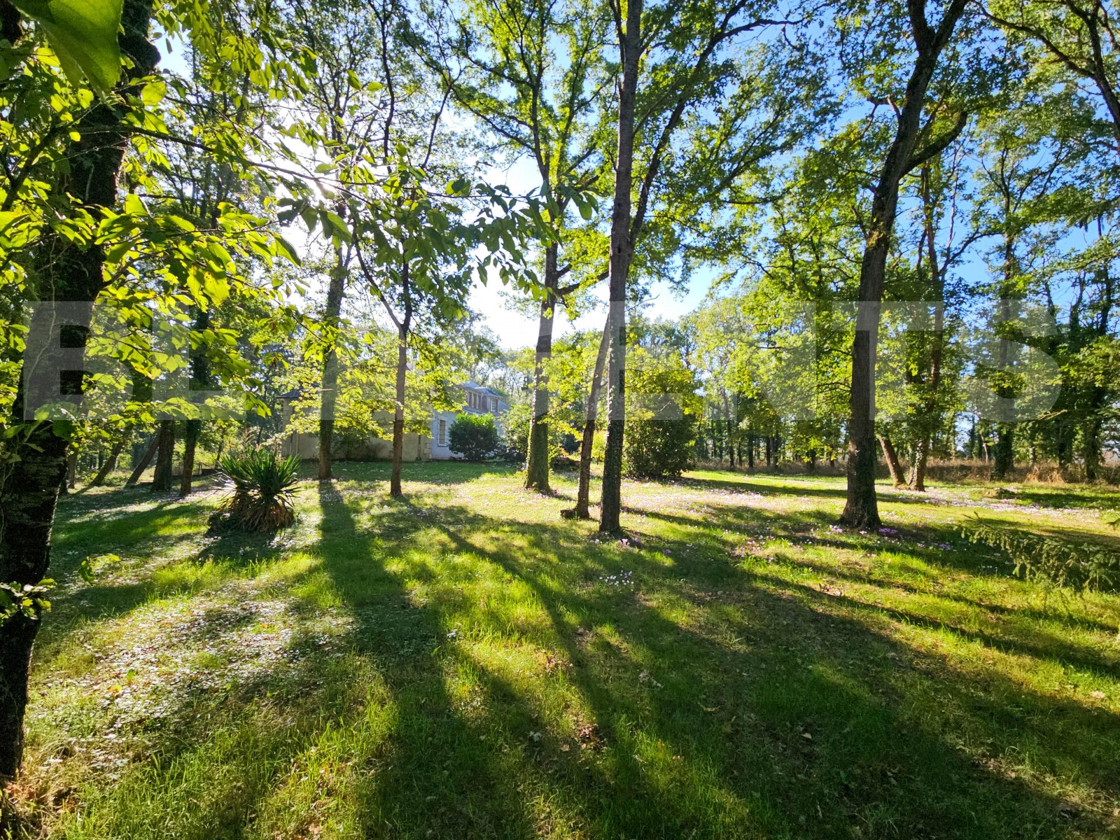 Maison traditionnelle 8 Pièce(s) VERNEUIL-LE-CHATEAU - Photo 20