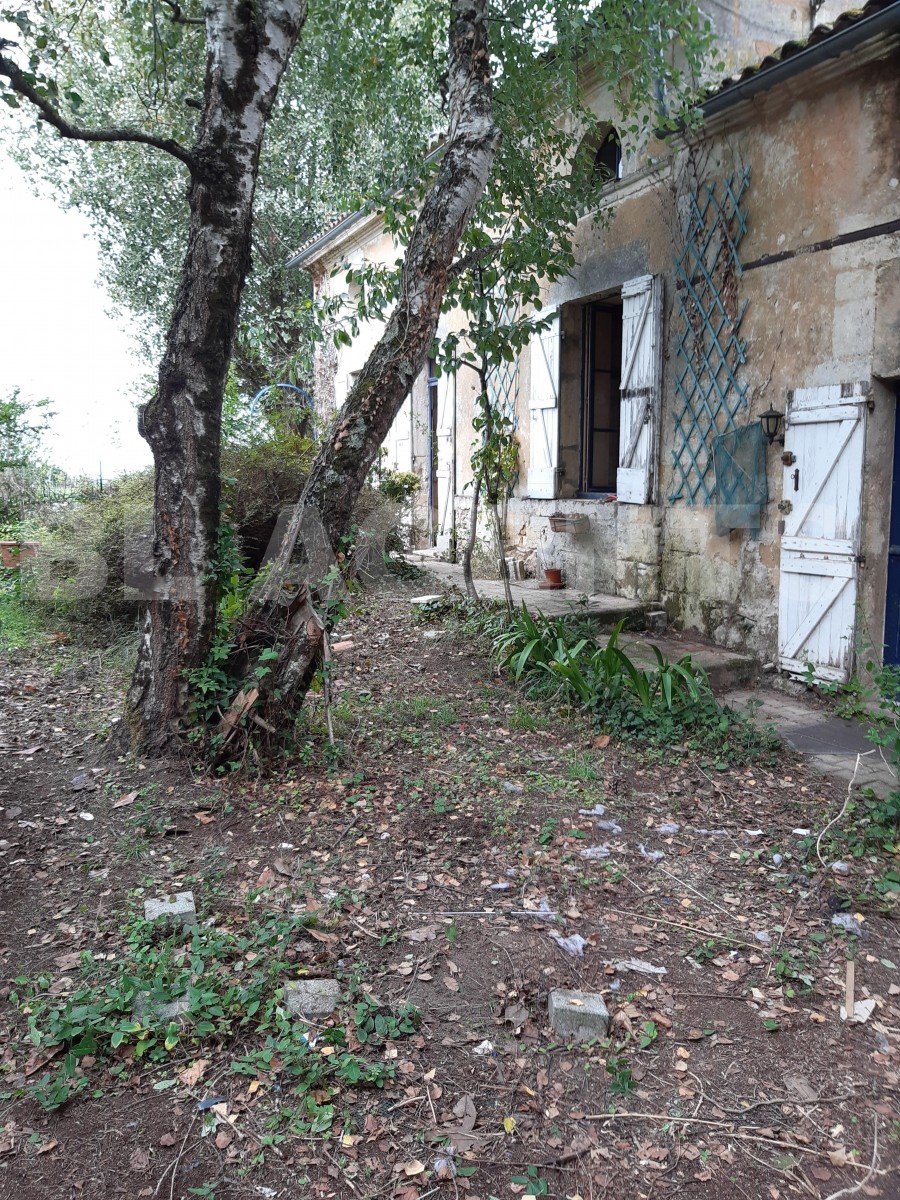 Maison ancienne 5 Pièce(s) PLASSAC - Photo 3