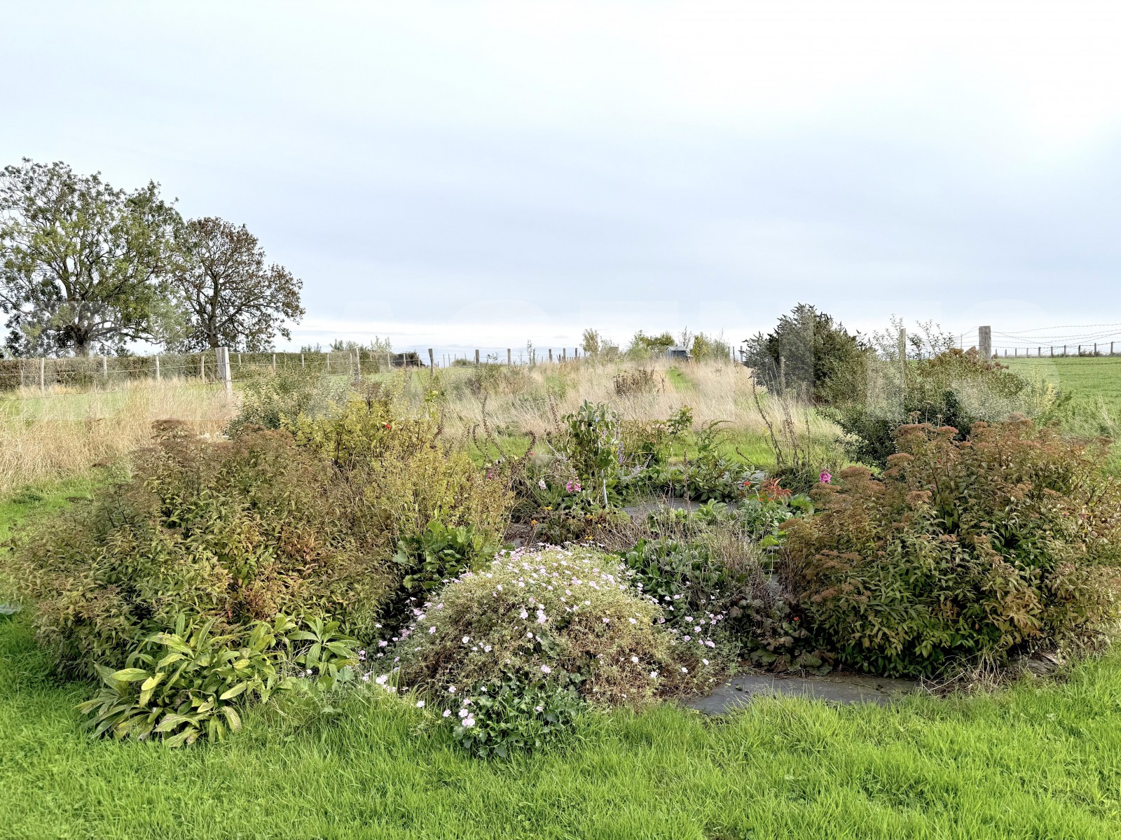 Maison 5 Pièce(s) DIEVAL - Photo 16