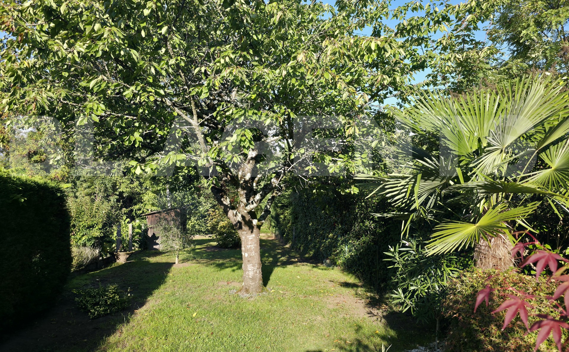 Maison 6 Pièce(s) ARNAGE - Photo 8