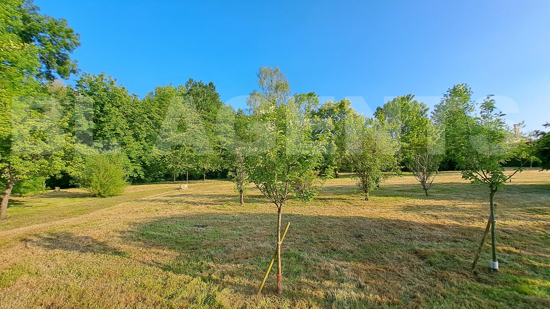 Maison bourgeoise 8 Pièce(s) LA FRESNAYE-SUR-CHEDOUET - Photo 5
