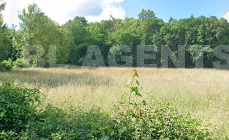 Terrain  MAGNY-LE-HONGRE - Photo 3