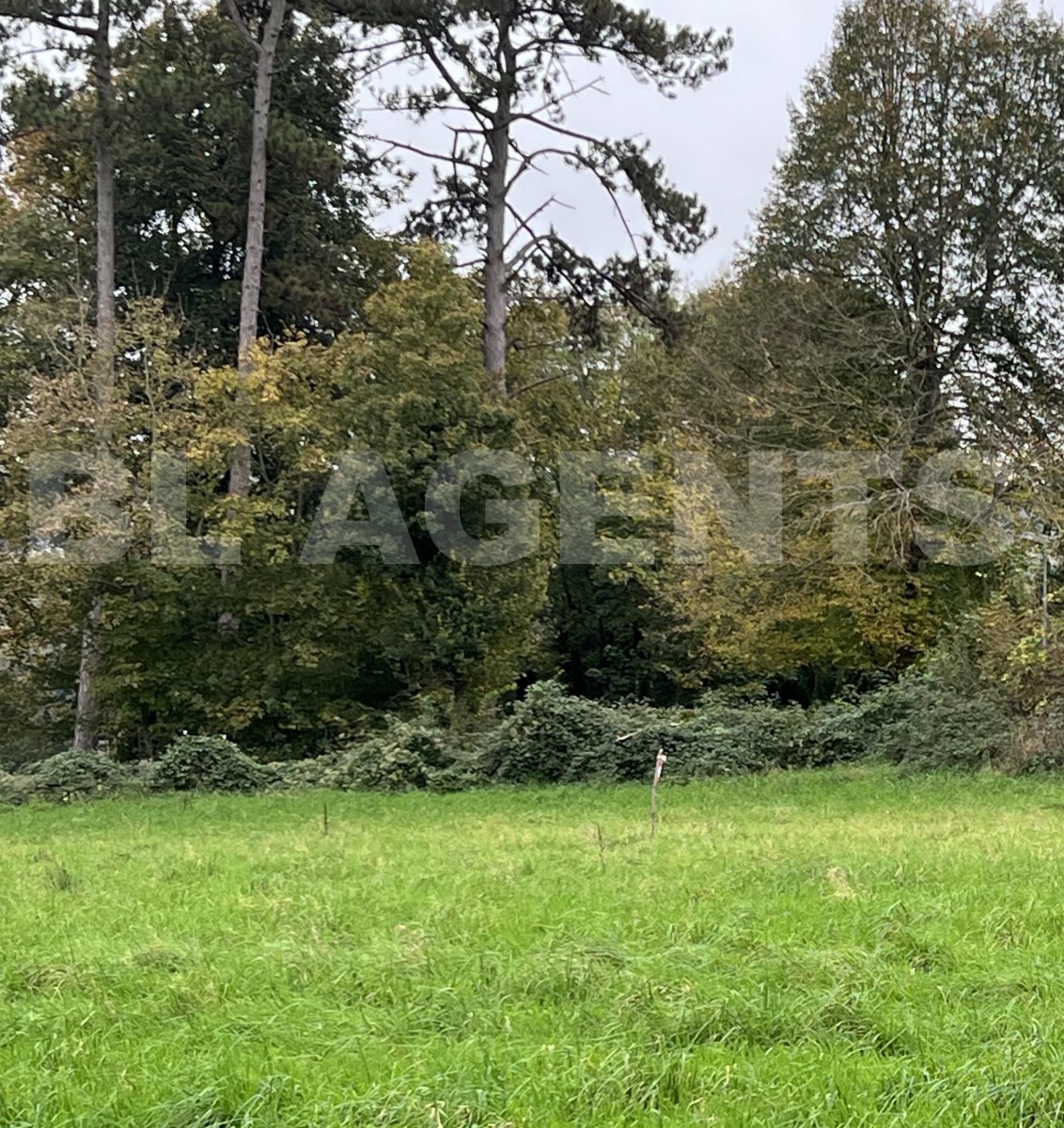 Terrain  BAILLY-ROMAINVILLIERS - Photo 4