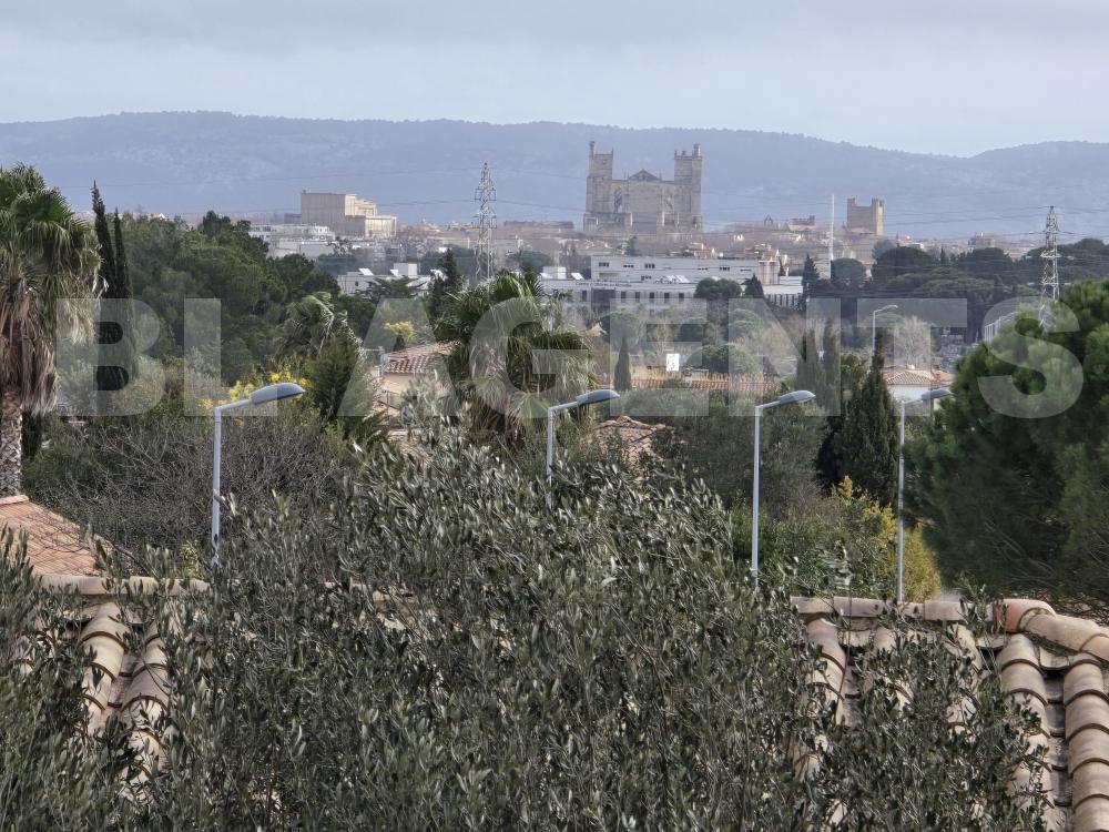 Terrain  NARBONNE - Photo 4