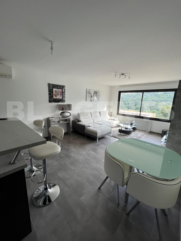 Appartement 2 Pièce(s) FOLELLI - Photo 1