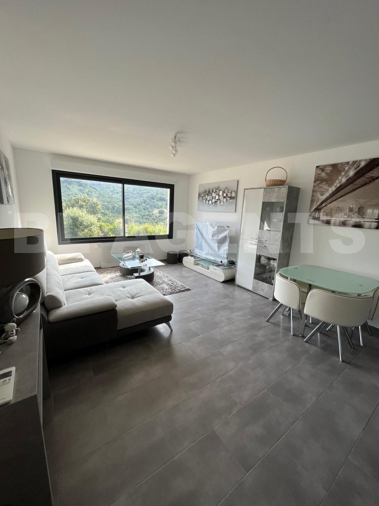 Appartement 2 Pièce(s) FOLELLI - Photo 2