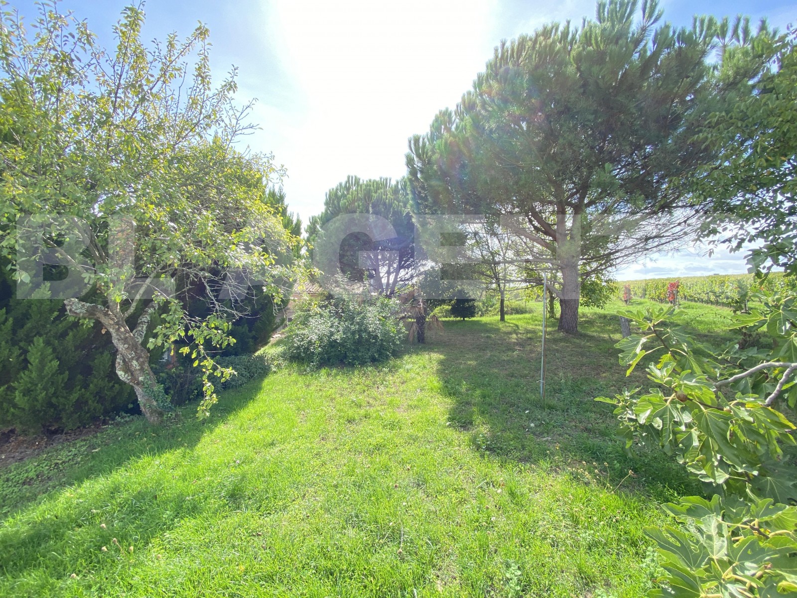 Maison de village 5 Pièce(s) PLASSAC - Photo 5