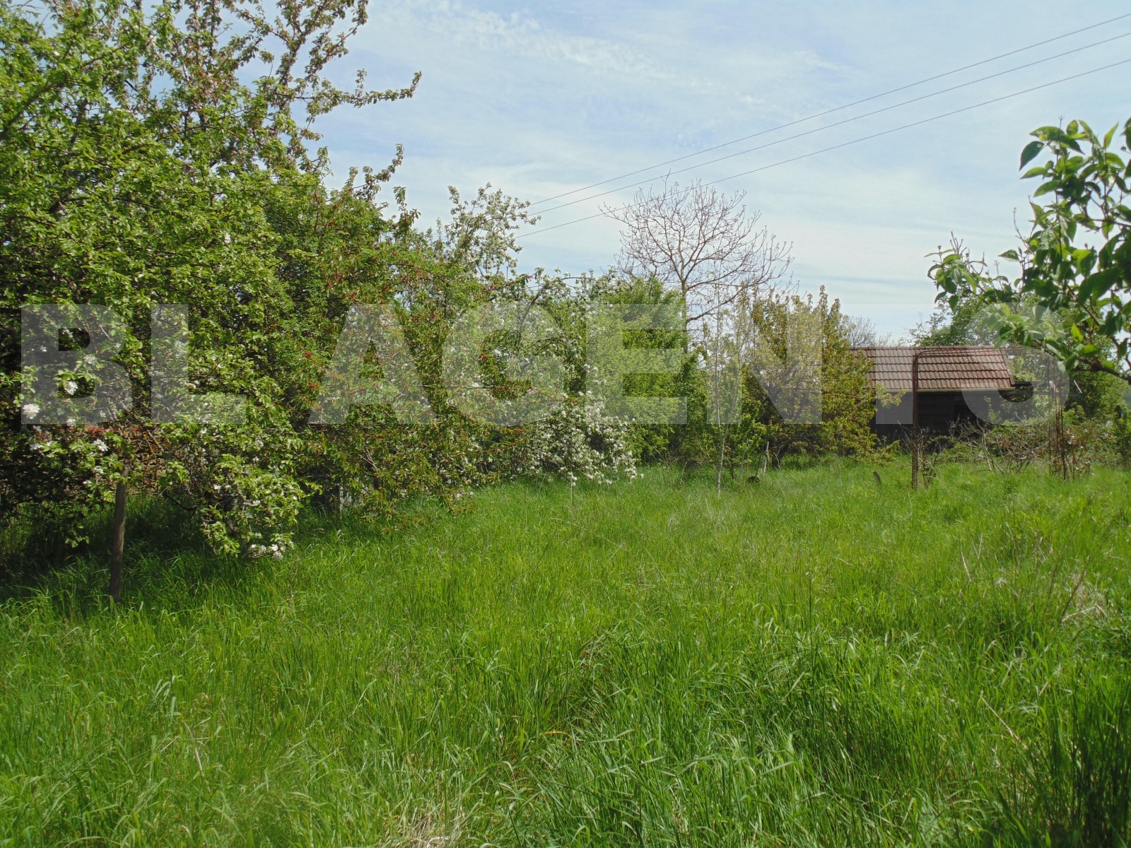 Terrain  VITTEAUX - Photo 3