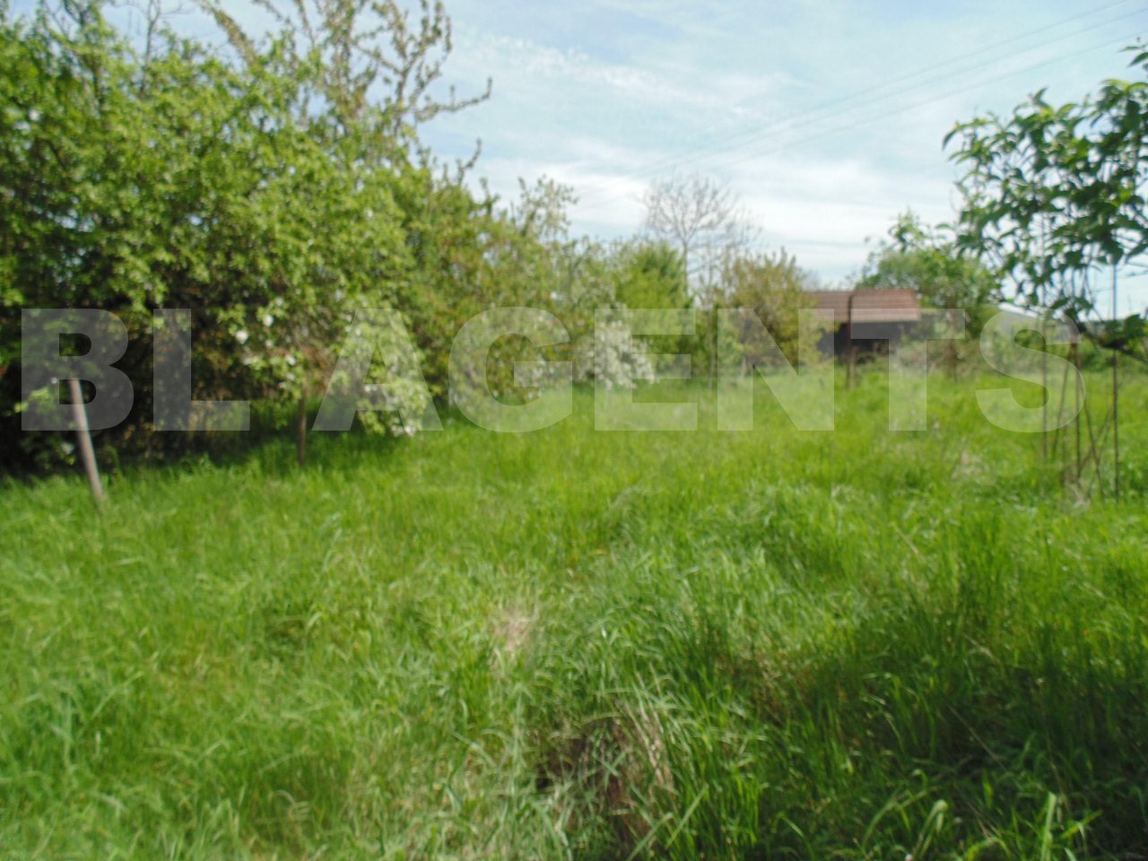 Terrain  VITTEAUX - Photo 5